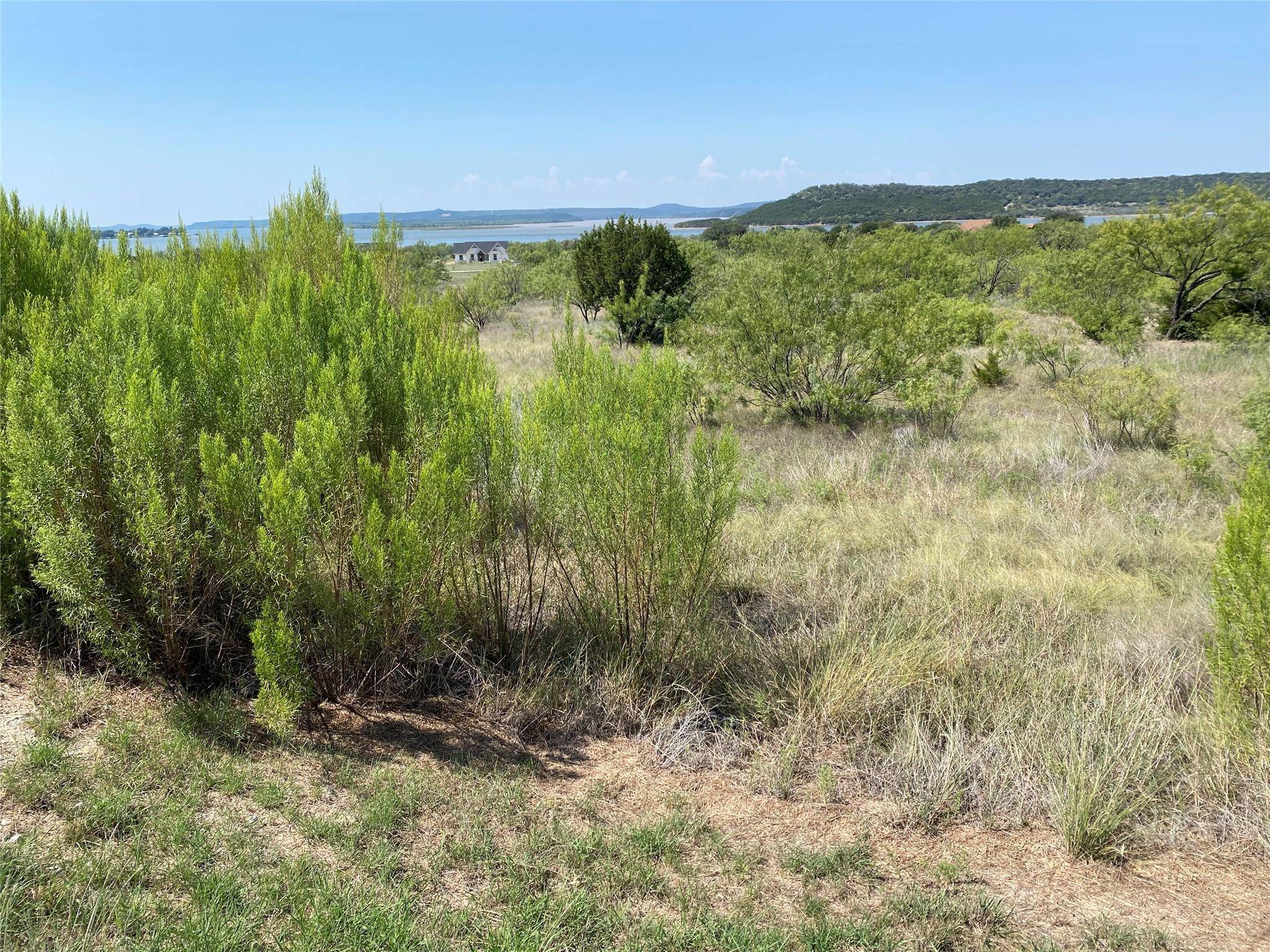 Graford, TX 76449,Lot 1057 Cinnamon Teal Drive