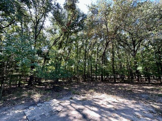 West Tawakoni, TX 75474,229 Comanche Trail