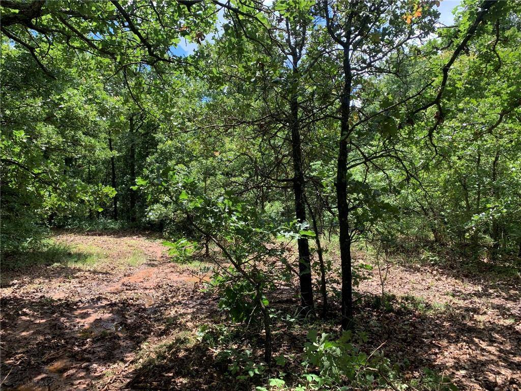 Chandler, OK 74834,910391 Oak Bend Trail Trail