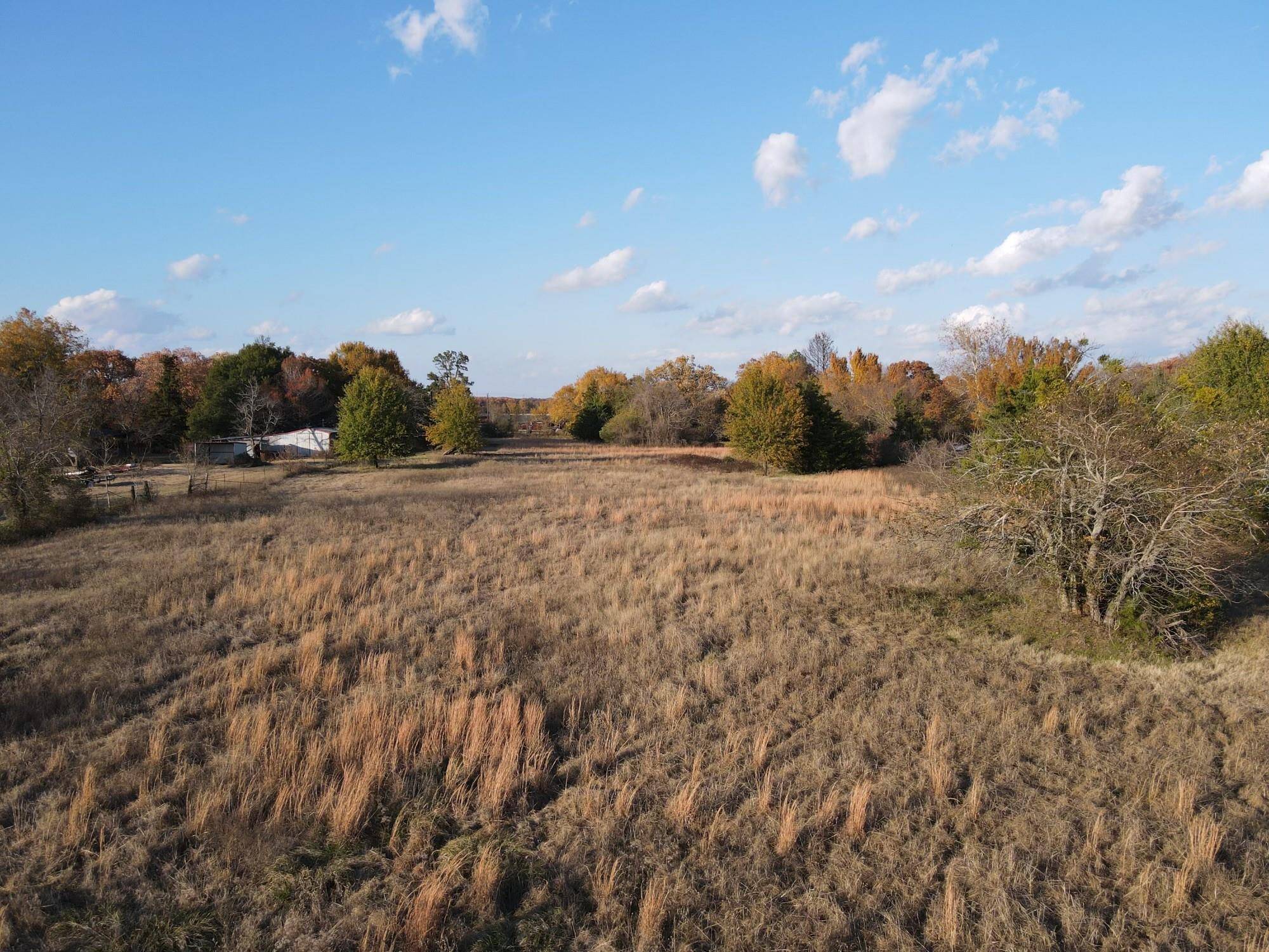 Blossom, TX 75462,TBD County Road 42600