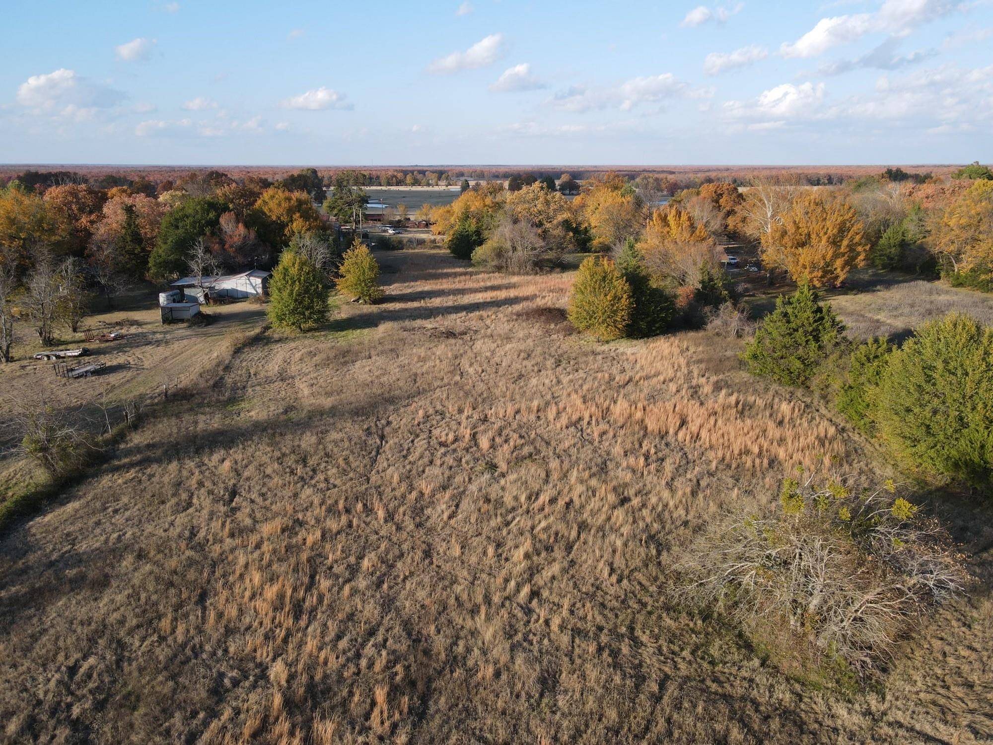 Blossom, TX 75462,TBD County Road 42600