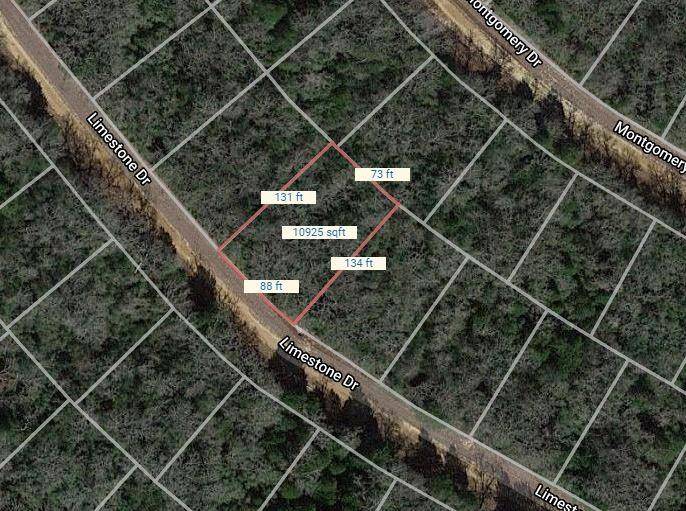 Hilltop Lakes, TX 77871,Lot 42 Limestone Drive