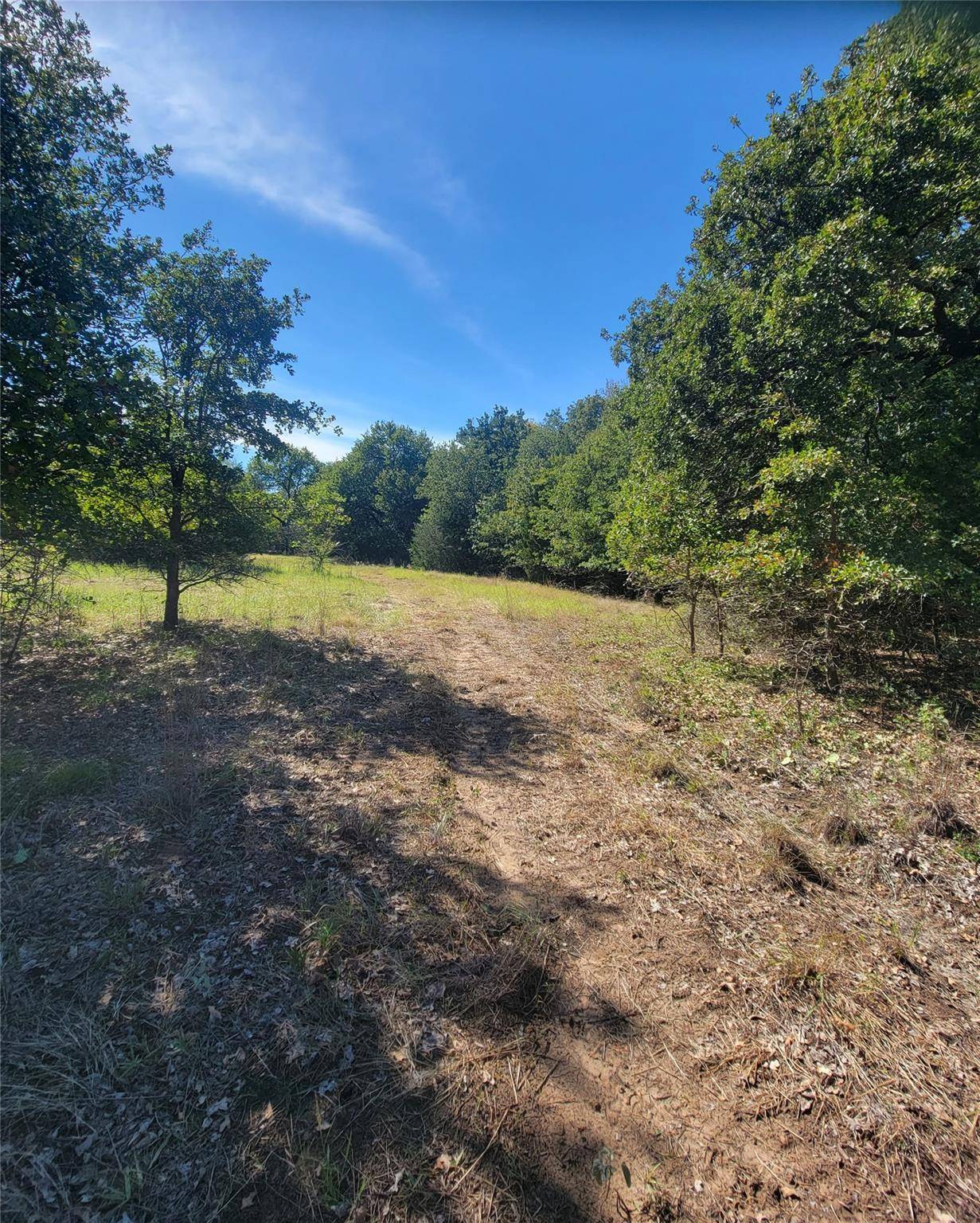 Azle, TX 76020,TBD Lot 8 Phillips Drive