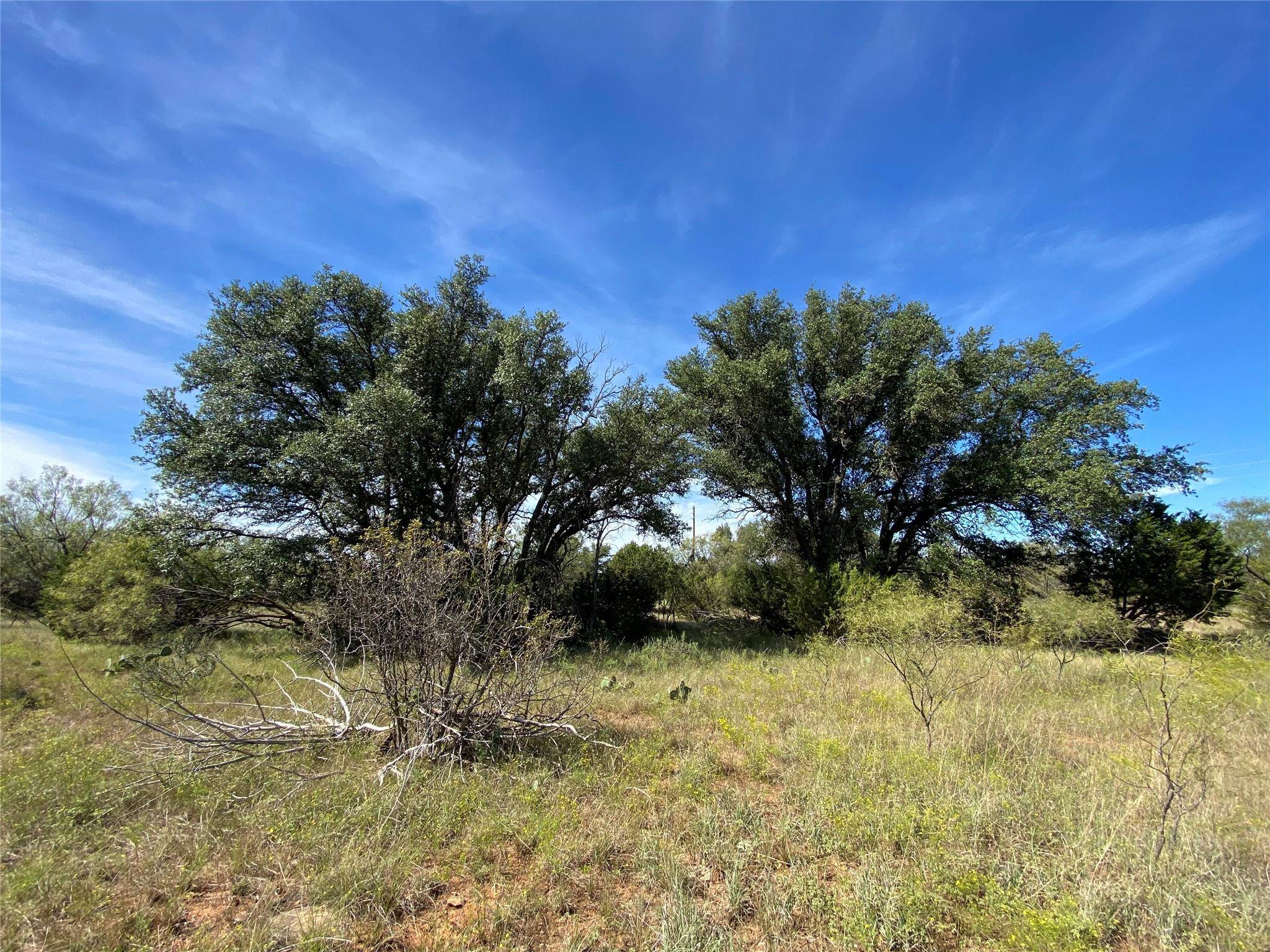 Santa Anna, TX 76878,TBD County Rd 108