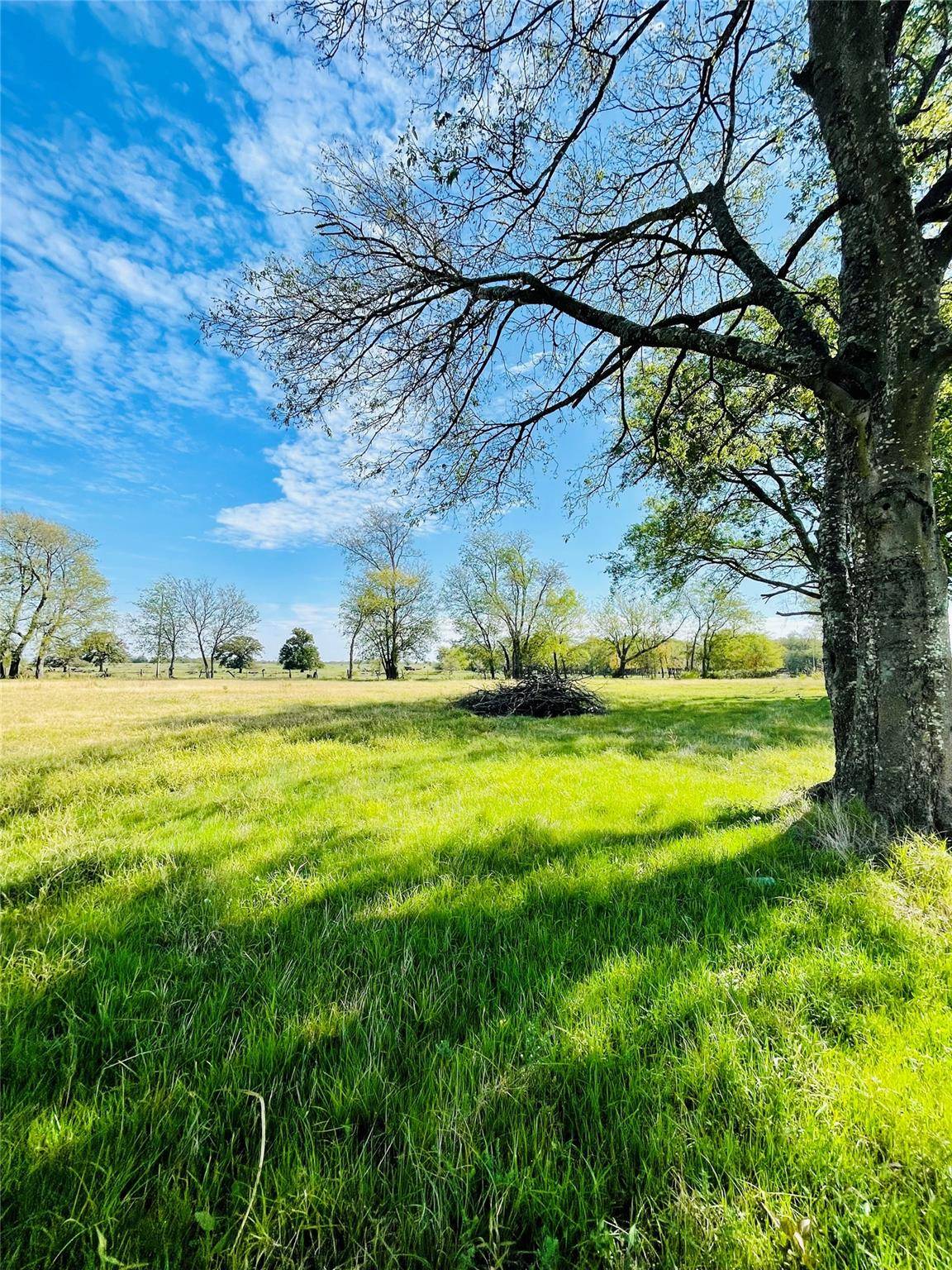 Lone Oak, TX 75453,Lot 5B Hwy 69