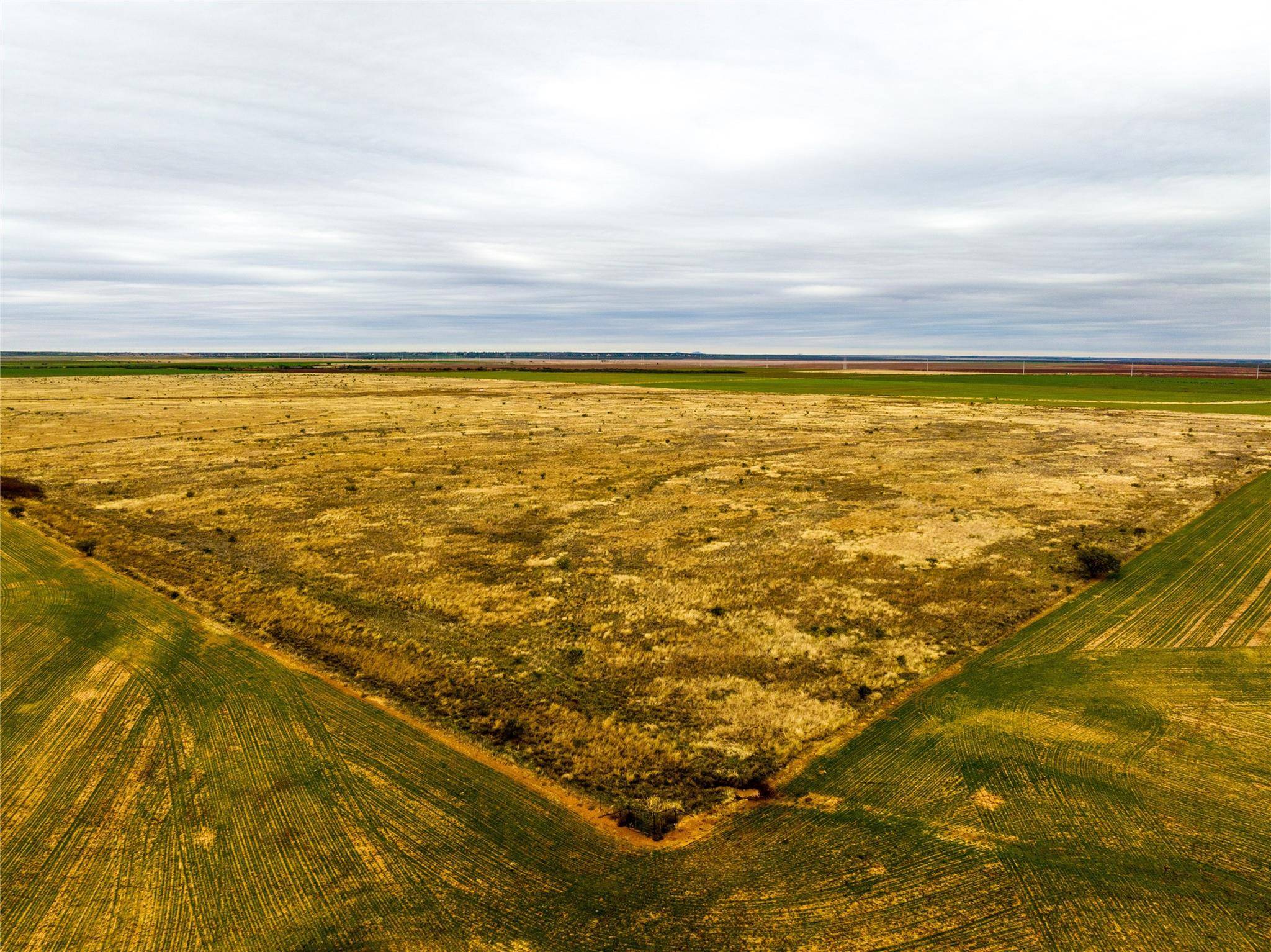 Anson, TX 79501,TBD County Road  157