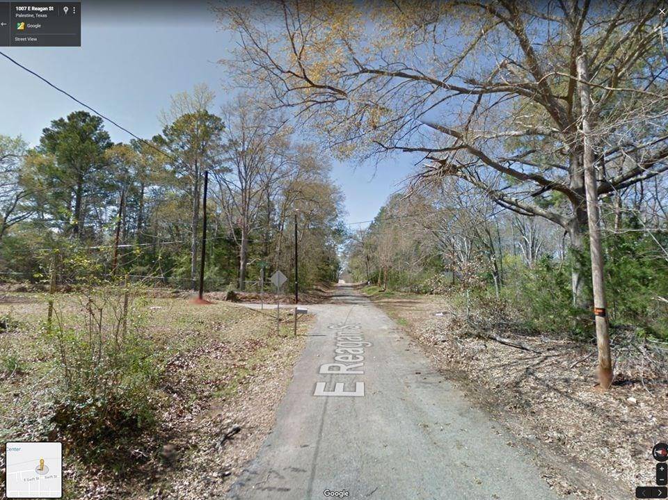 Palestine, TX 75801,TBD E Reagan Street