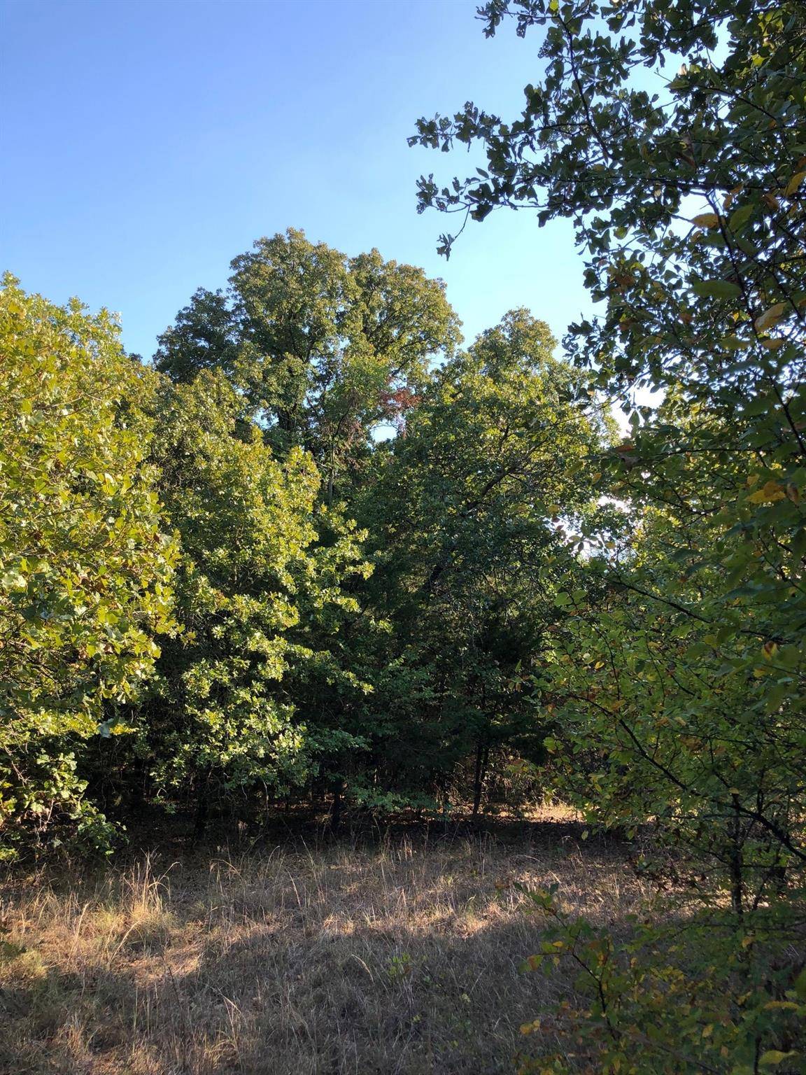 Valley View, TX 76272,Lot 15 Sleepy Hollow Lane