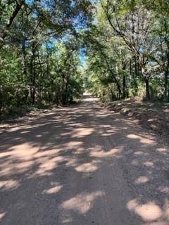 Cookville, TX 75558,264 CR 3445