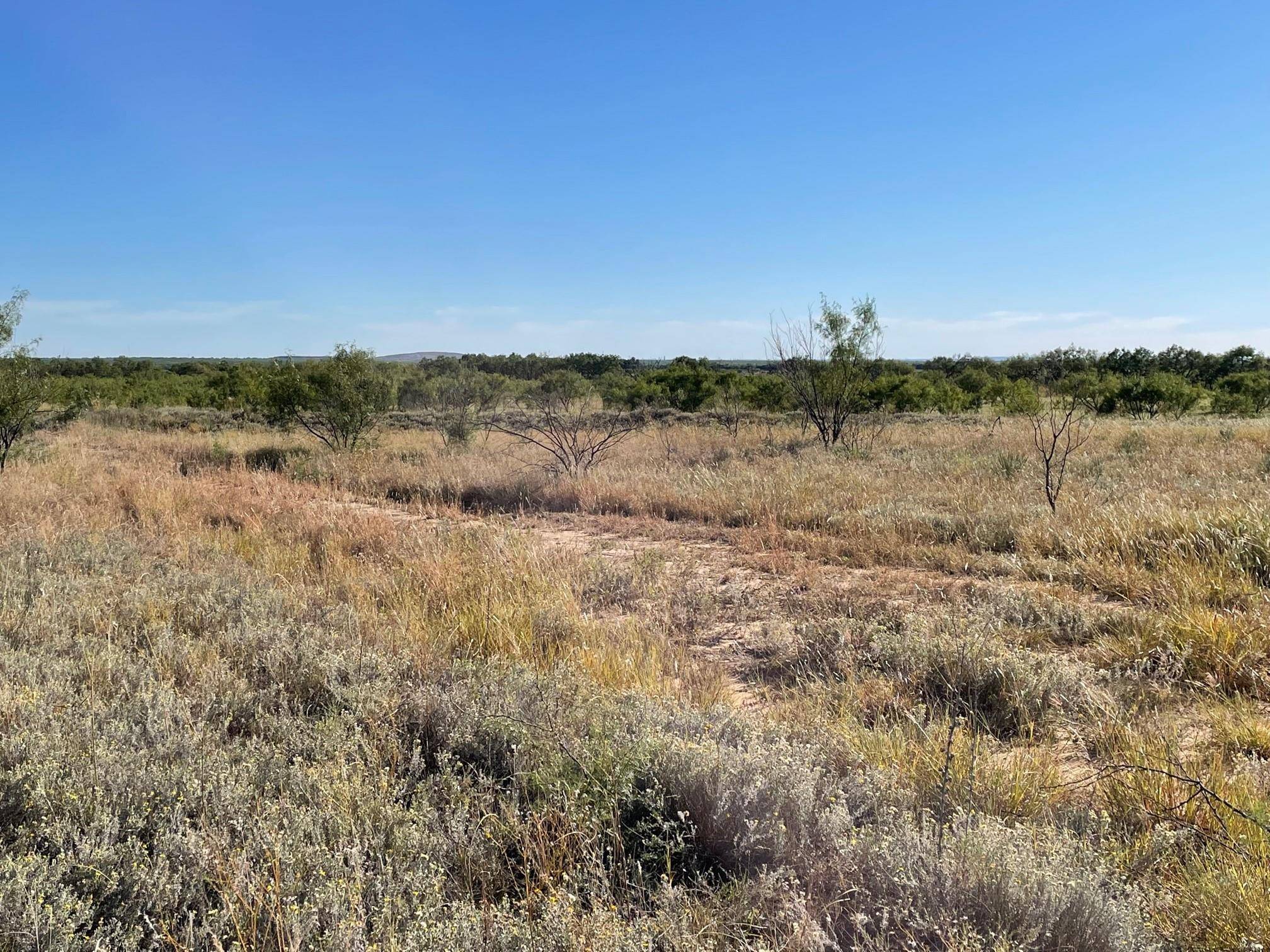 Abilene, TX 79601,10.72 Ac Private Rd 3390