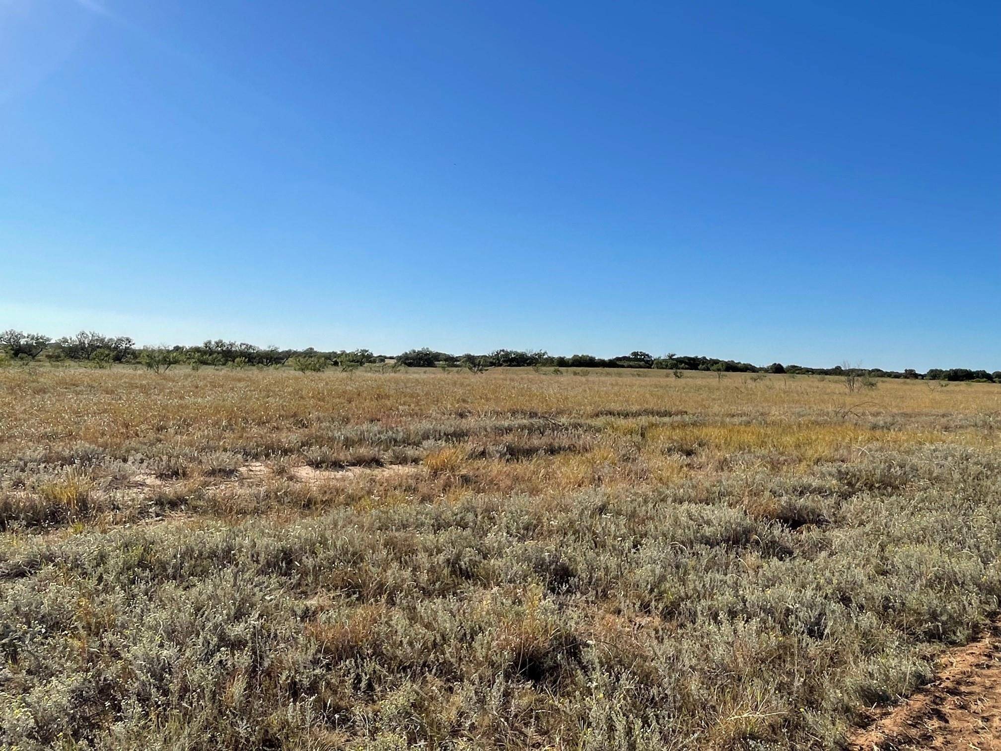 Abilene, TX 79601,10.72 Ac Private Rd 3390