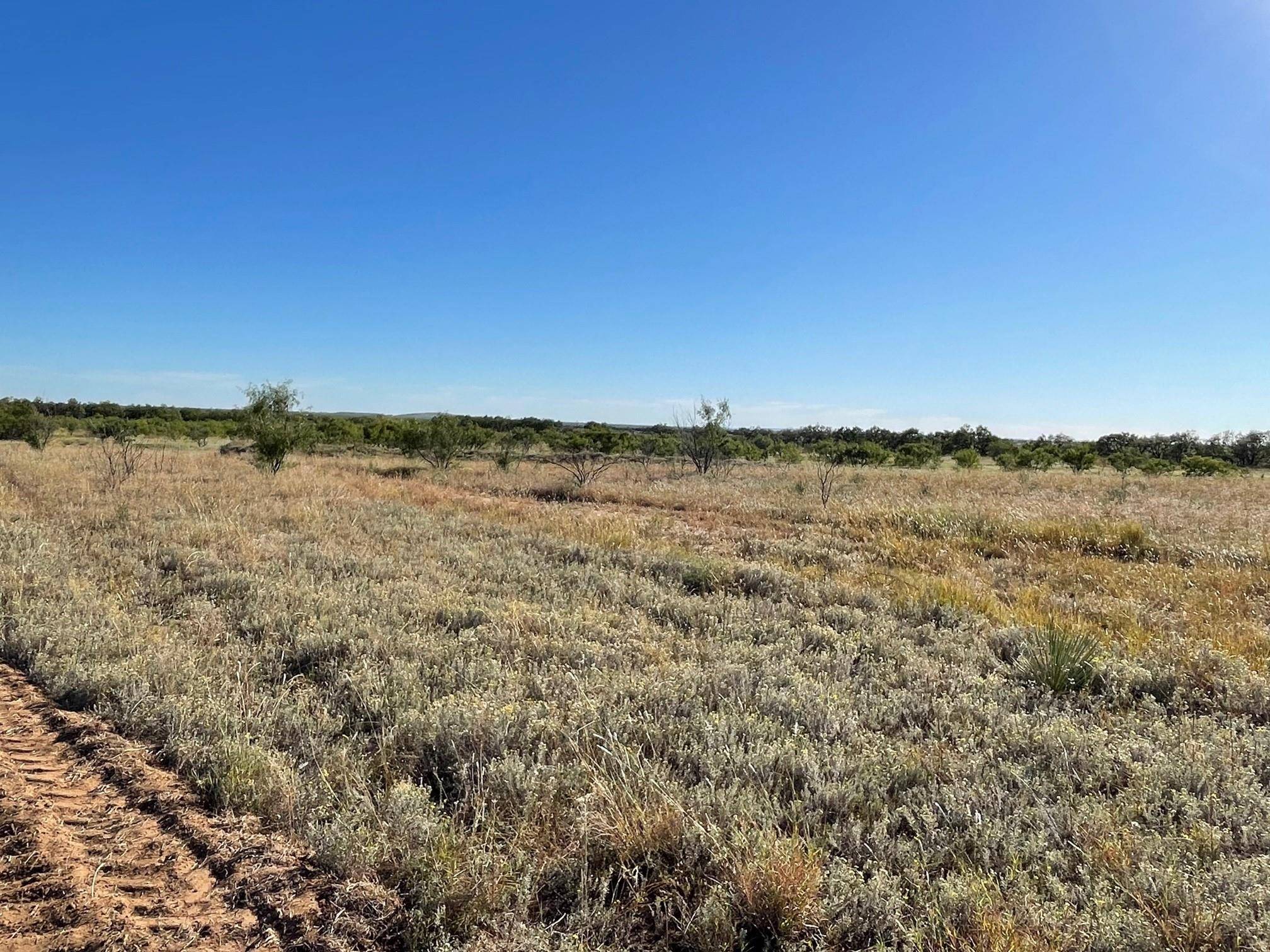 Abilene, TX 79601,10.72 Ac Private Rd 3390