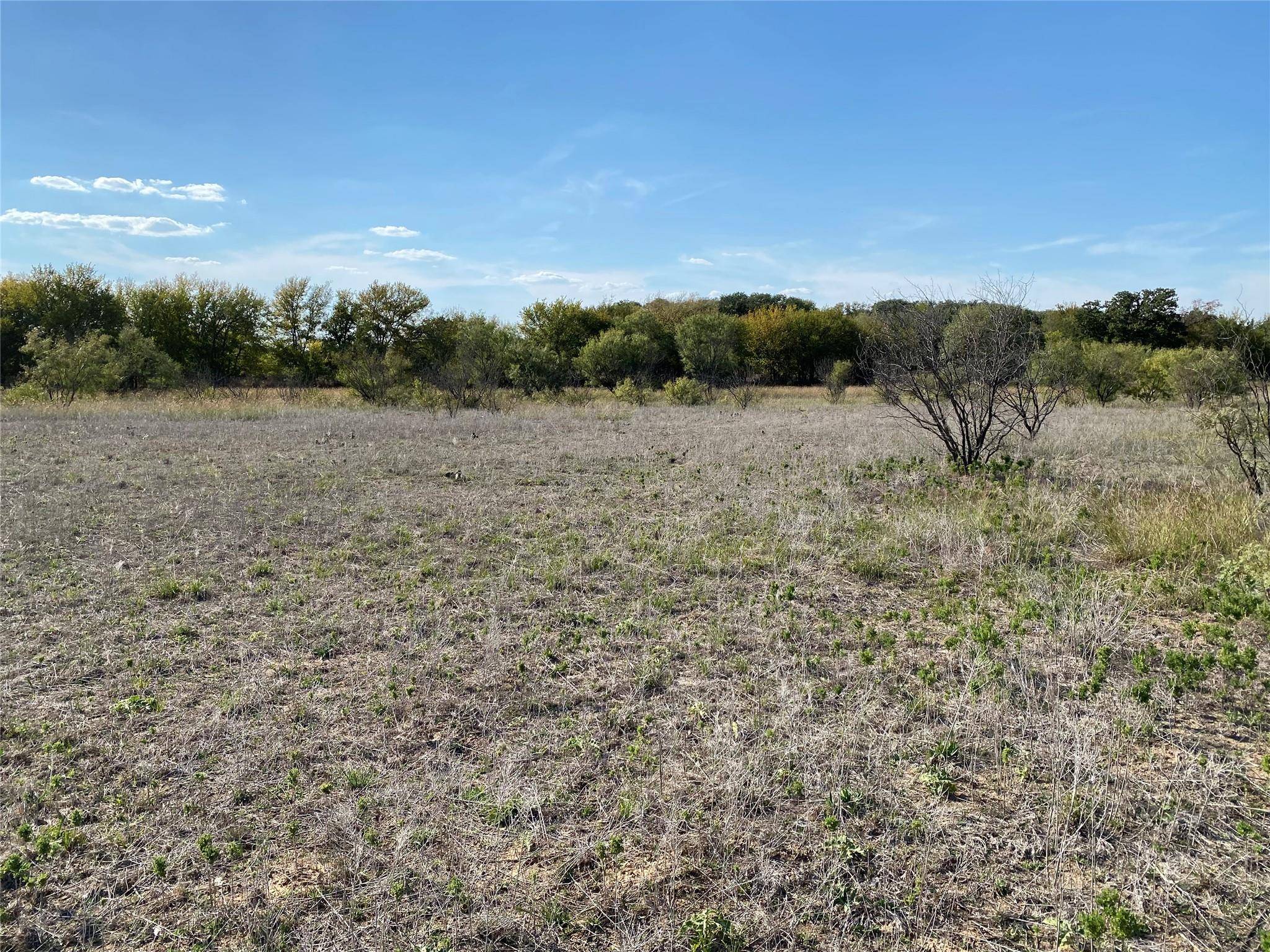 De Leon, TX 76444,000 County Road 473