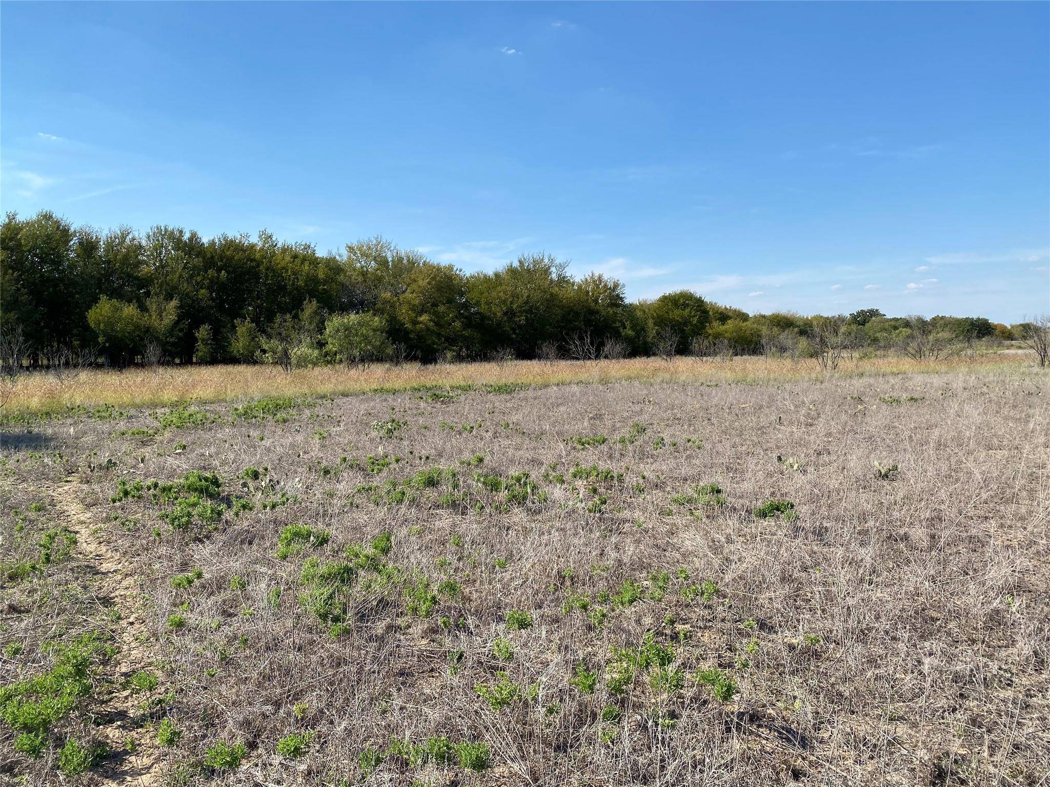 De Leon, TX 76444,000 County Road 473