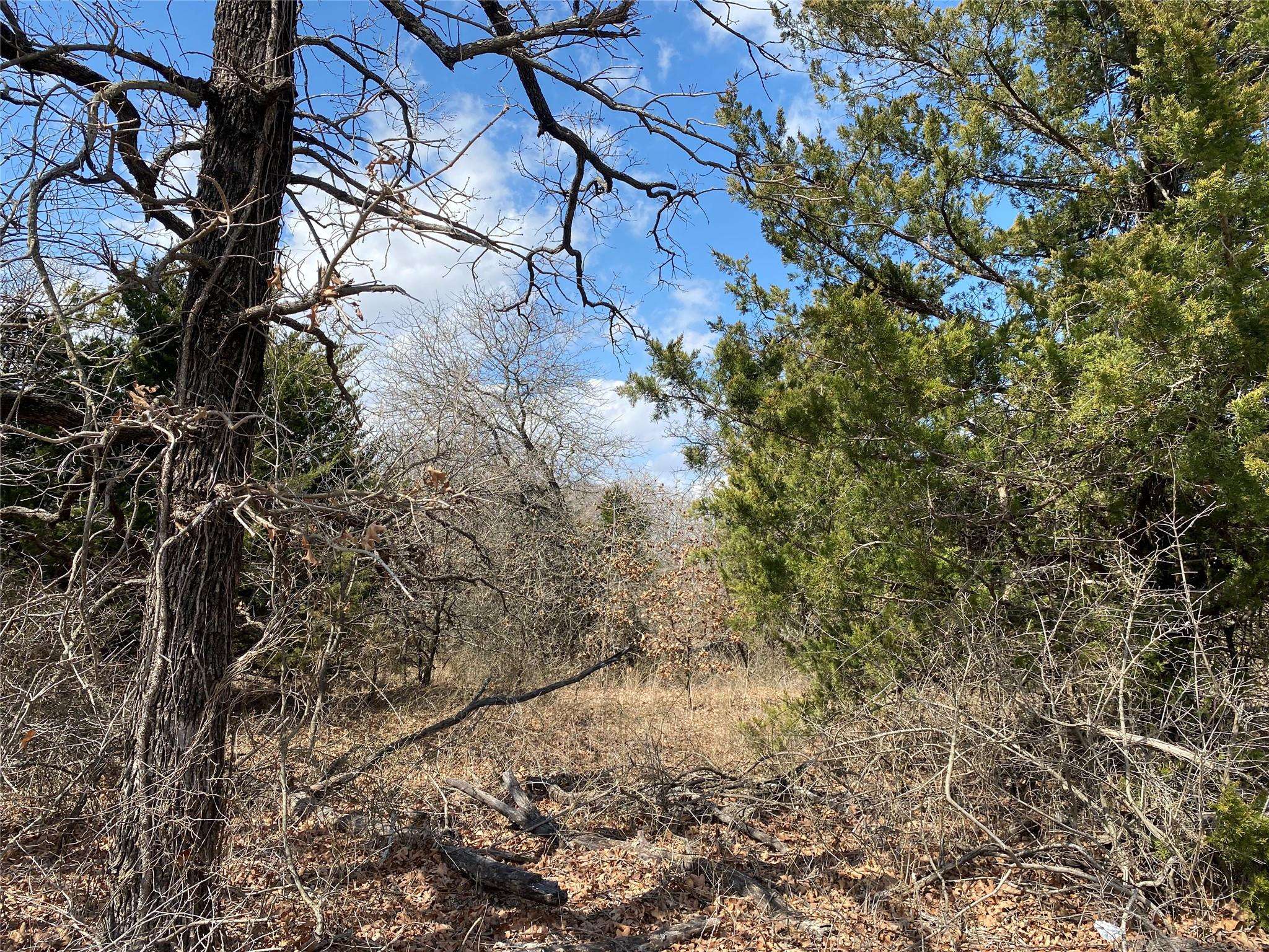 Muenster, TX 76252,7 Acres County Rd 343