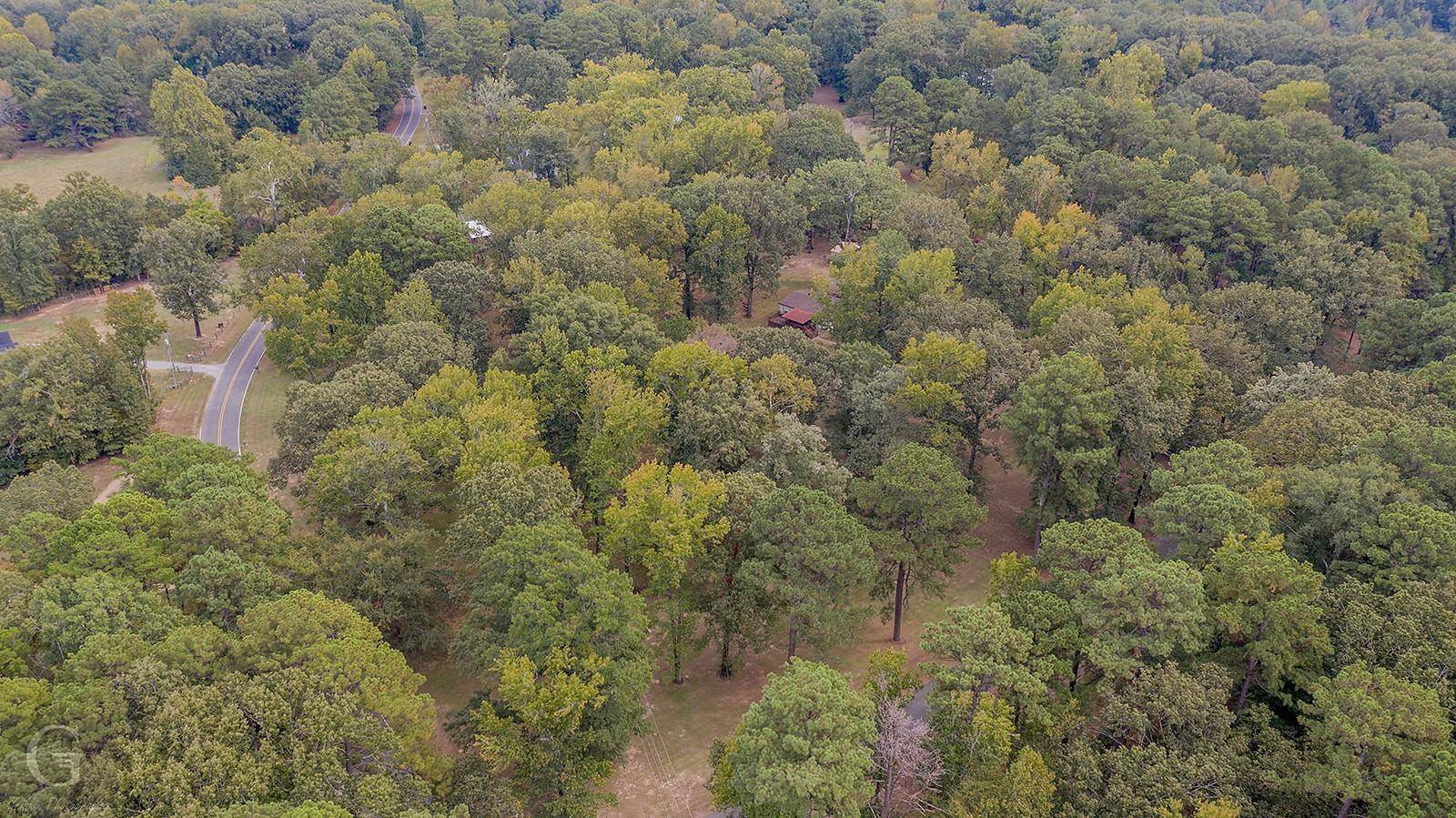 Benton, LA 71006,113 Deer Trail