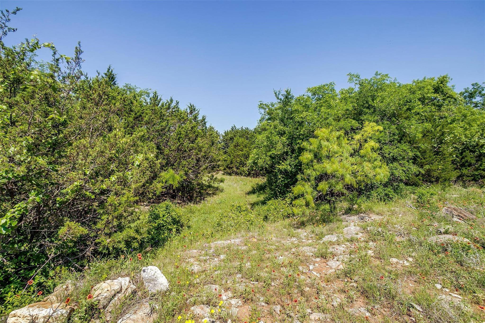 Graford, TX 76449,TRACT 1B 23.04 ACRES Mountain Drive