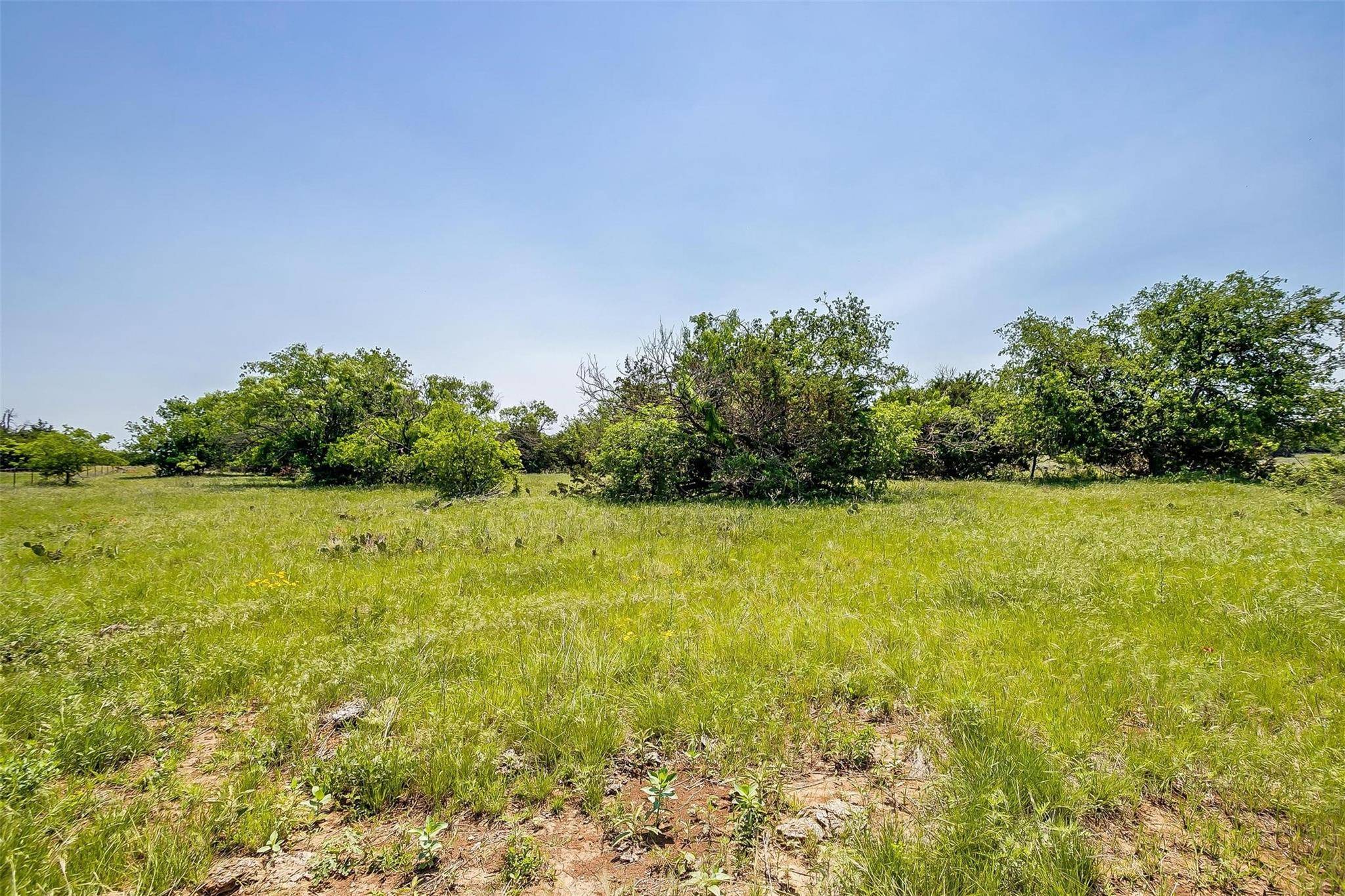 Graford, TX 76449,TRACT 13A 30.148 ACRES Mountain Drive