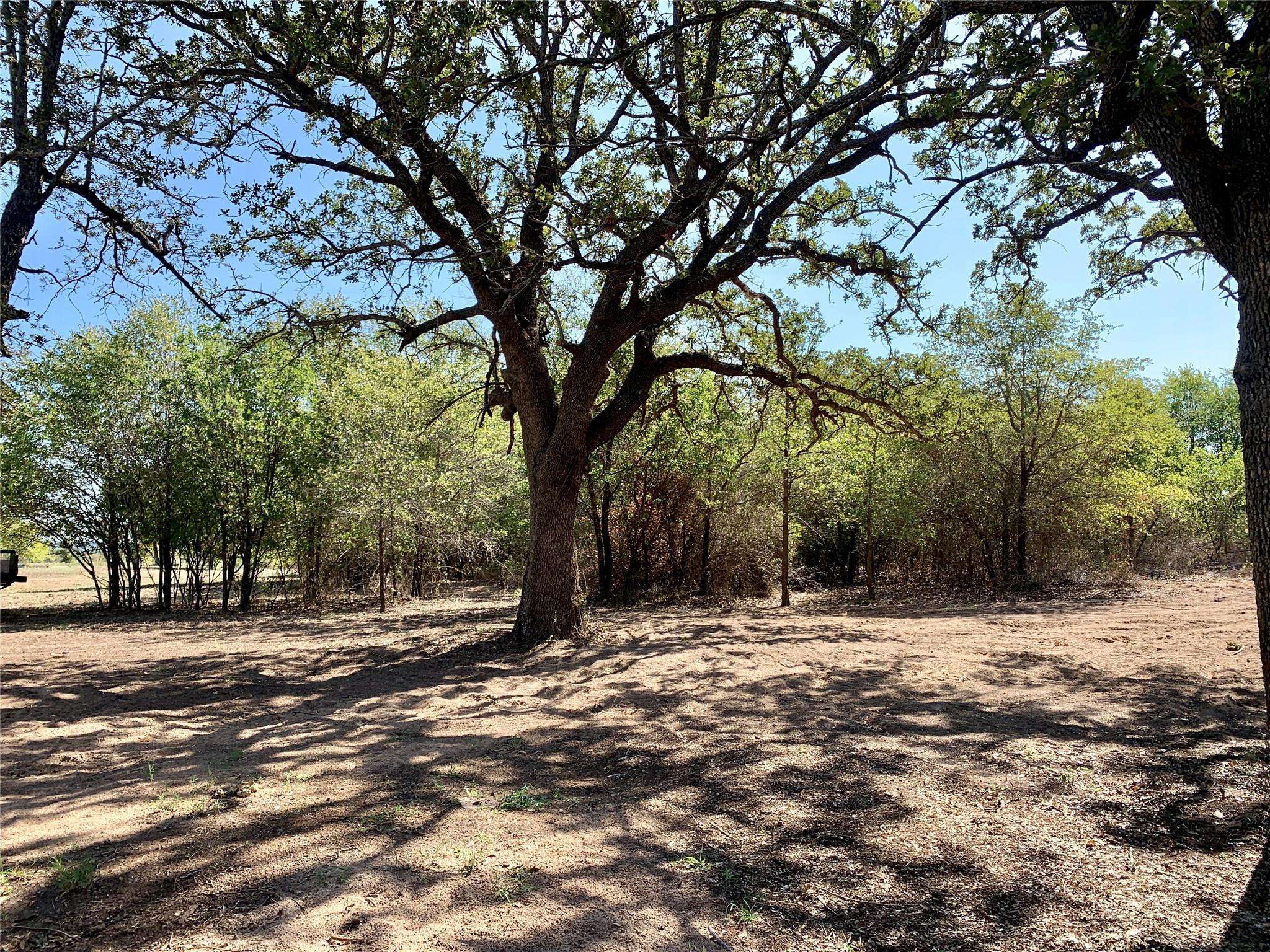 Cross Plains, TX 76443,12.3+/- Ac 10625 County Road 430