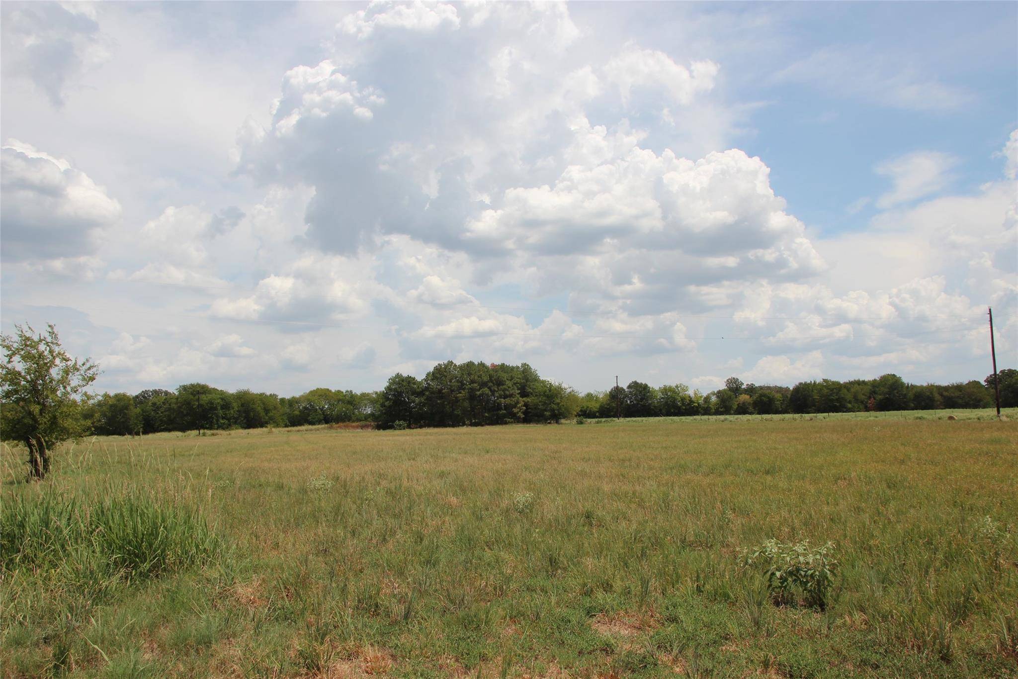 Yantis, TX 75497,Lot 6,7,8 CR 1739