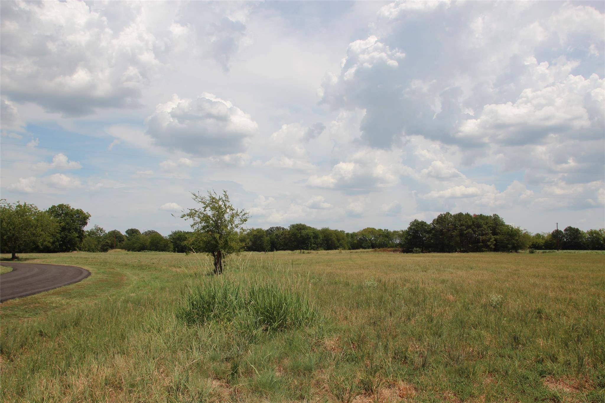 Yantis, TX 75497,Lot 6,7,8 CR 1739