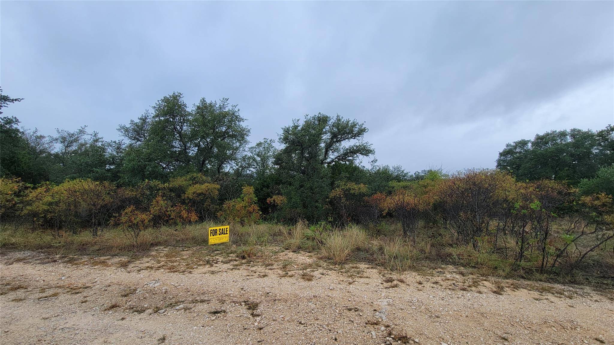 Kopperl, TX 76652,Lot 198 County Rd 1213