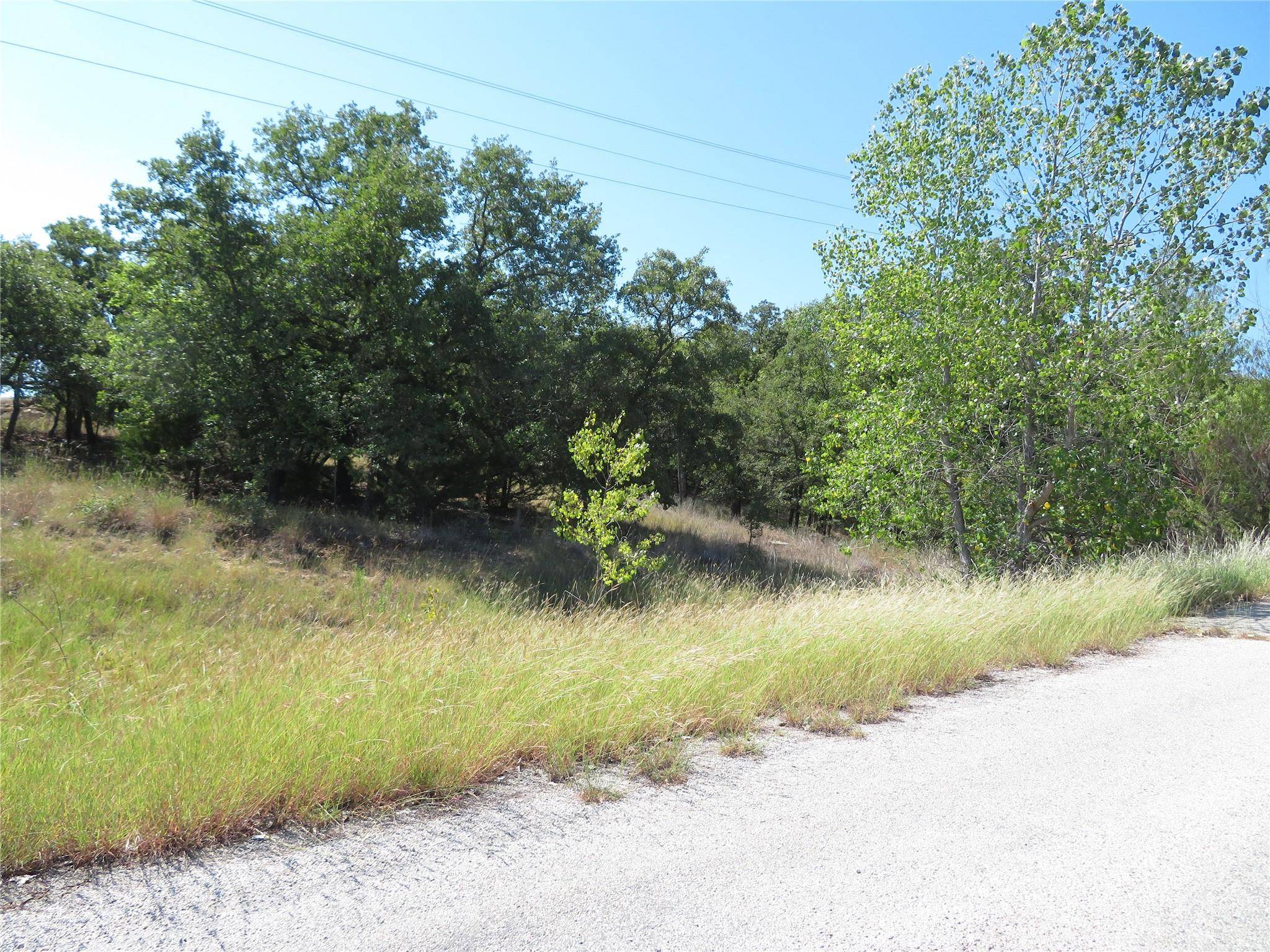 Bowie, TX 76230,000 Mountain Pass Drive