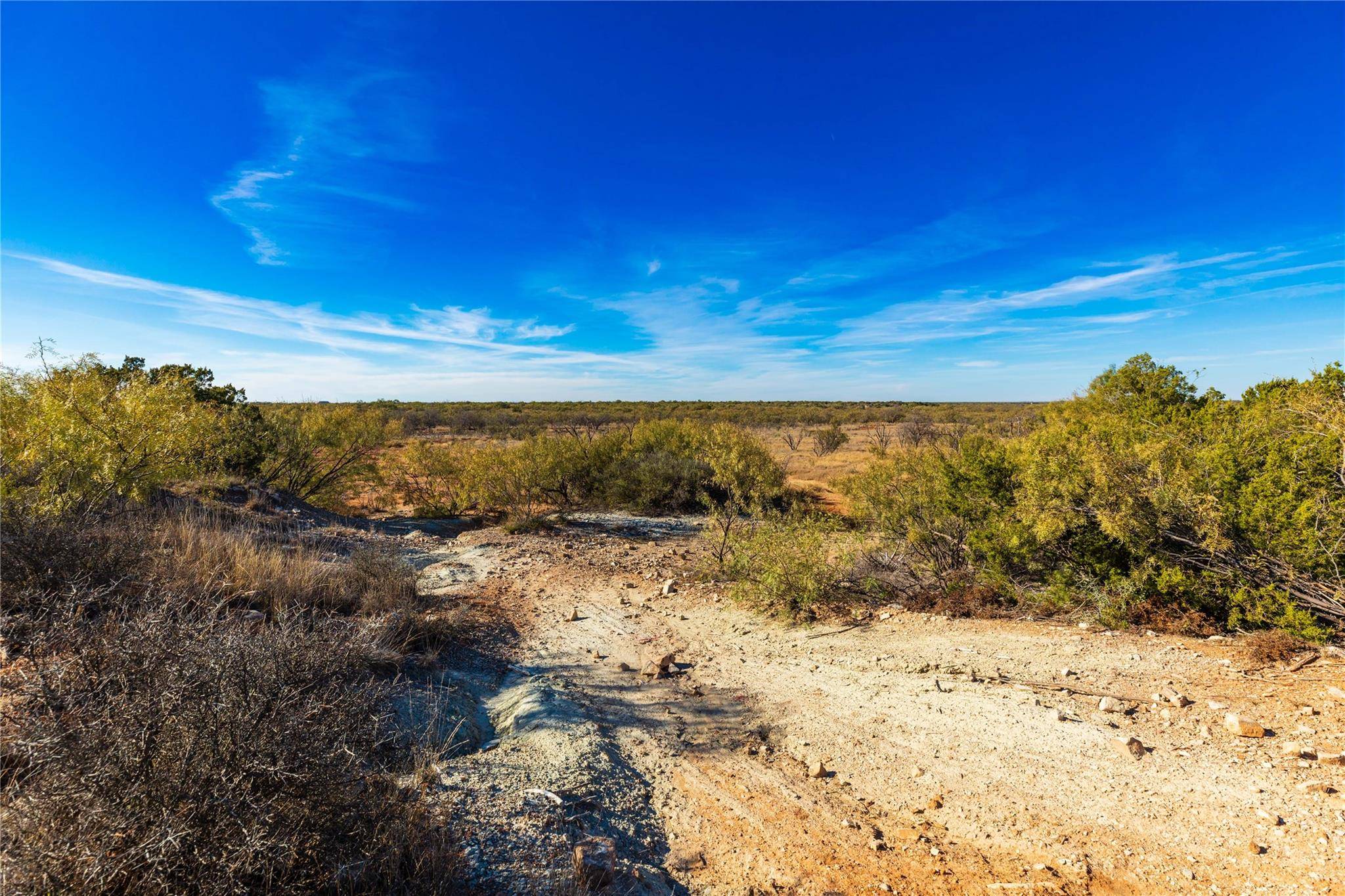 Aspermont, TX 79502,County Road 202