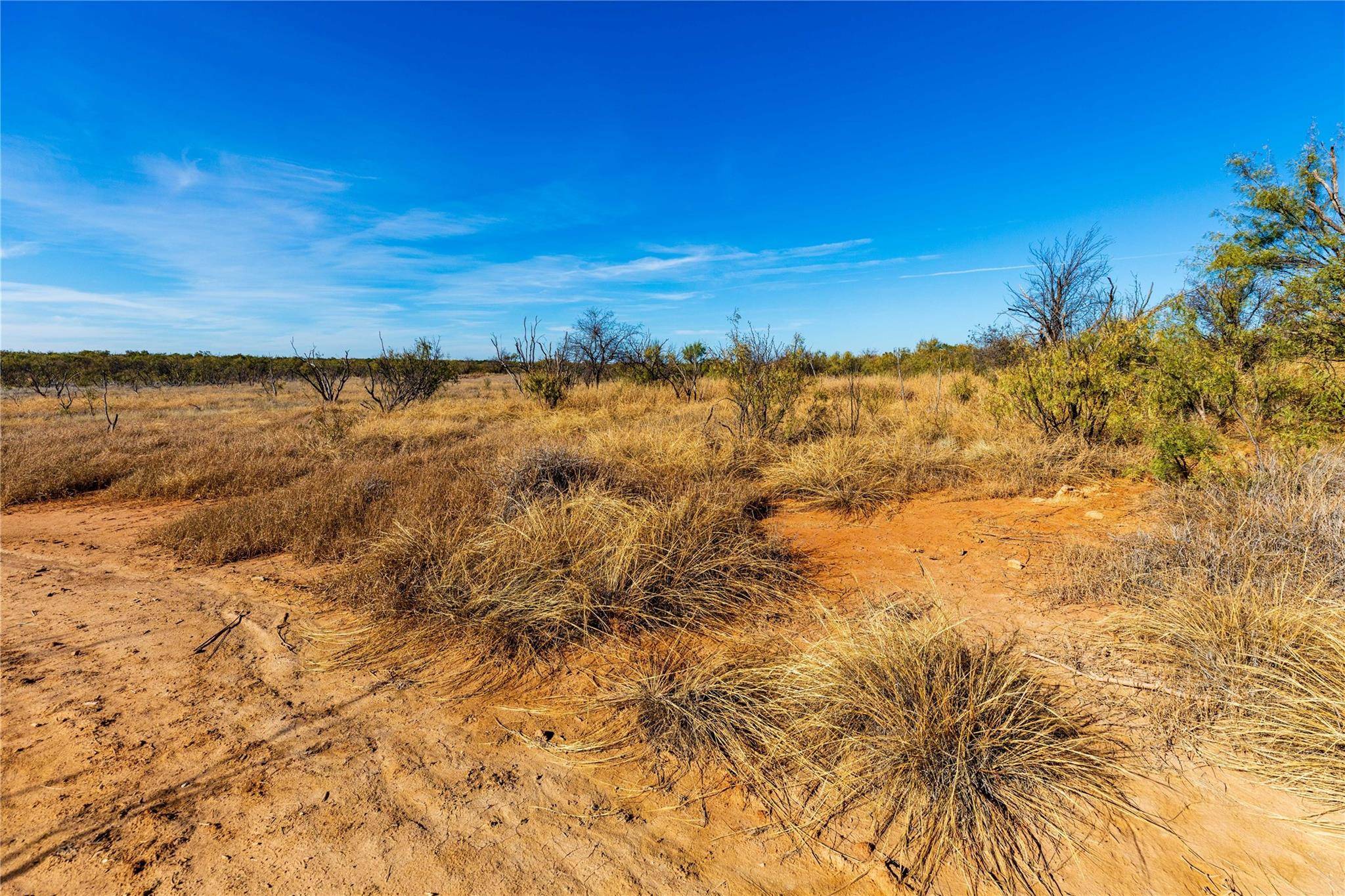 Aspermont, TX 79502,County Road 202