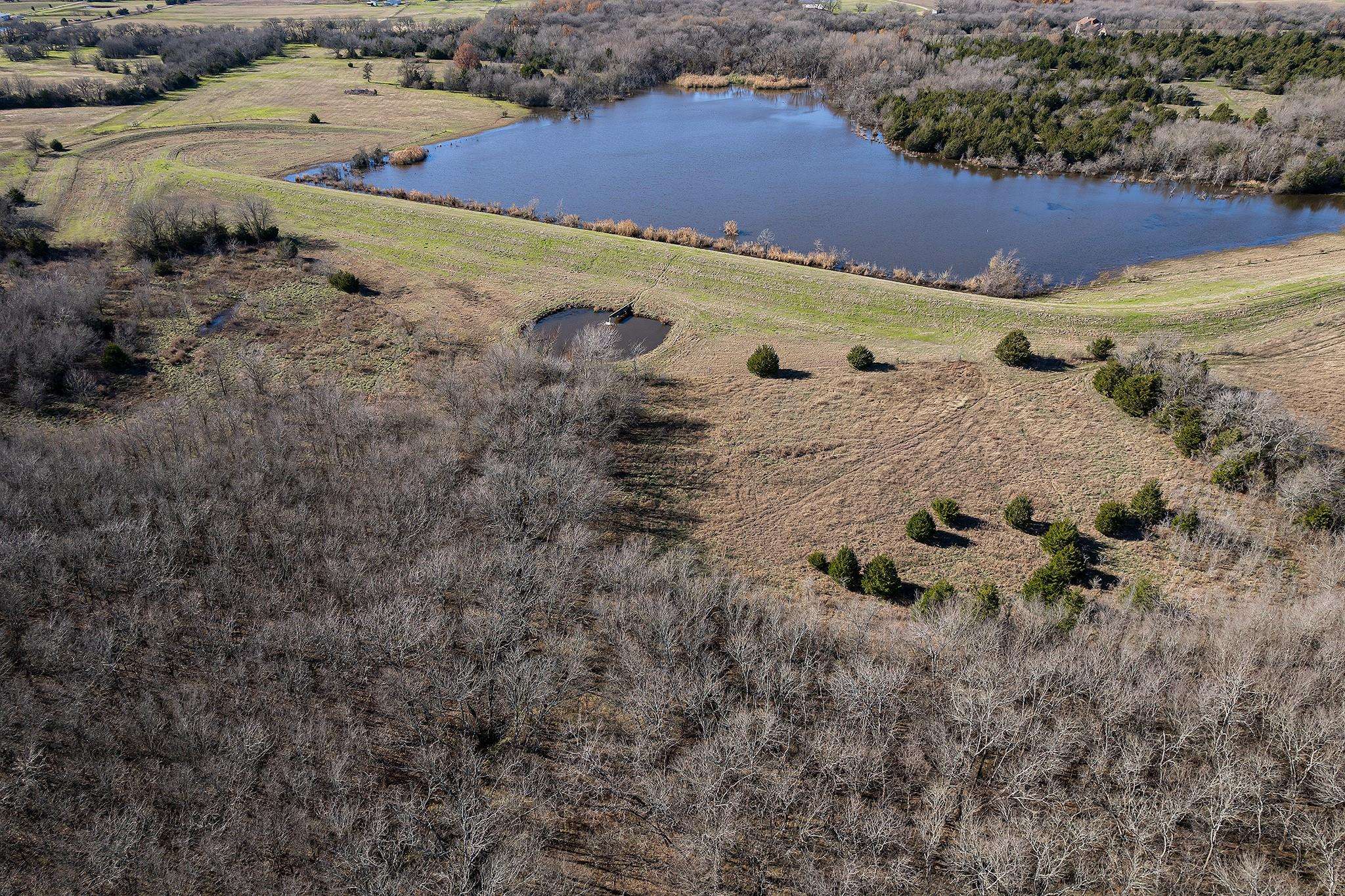 Blue Ridge, TX 75424,83 ACRES CR 1004