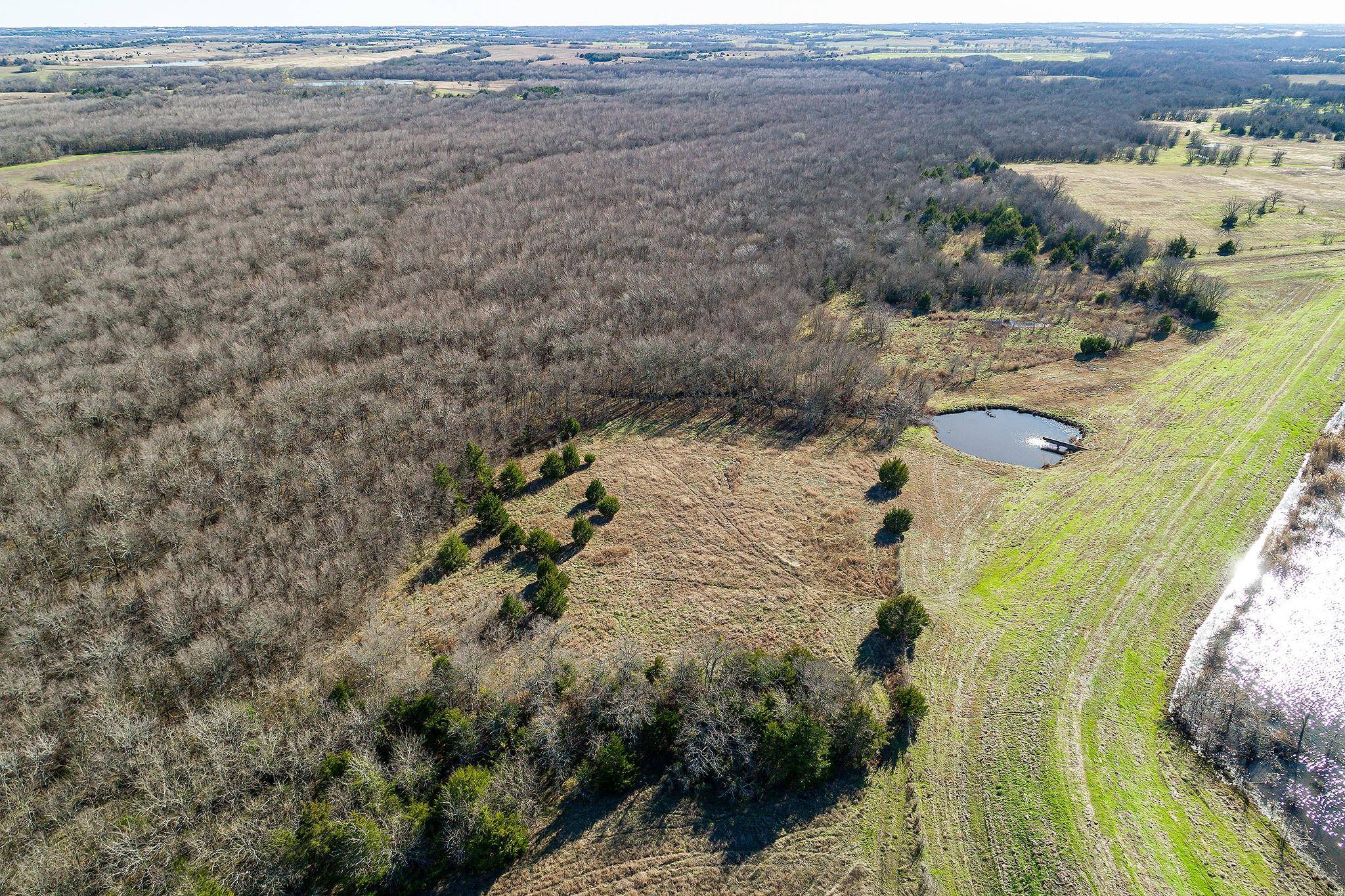 Blue Ridge, TX 75424,83 ACRES CR 1004