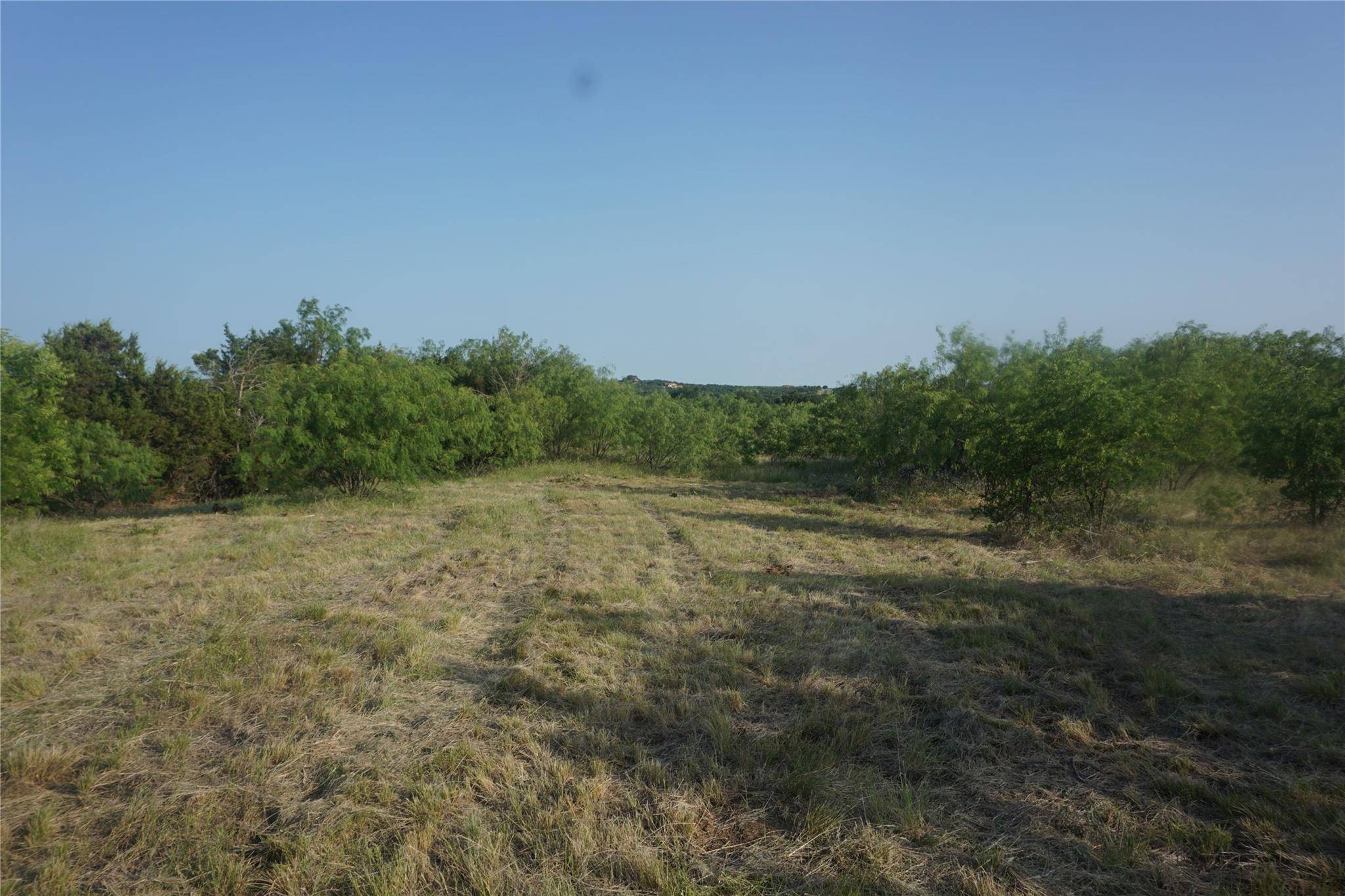 Possum Kingdom Lake, TX 76449,Lot 200 Evening Primrose