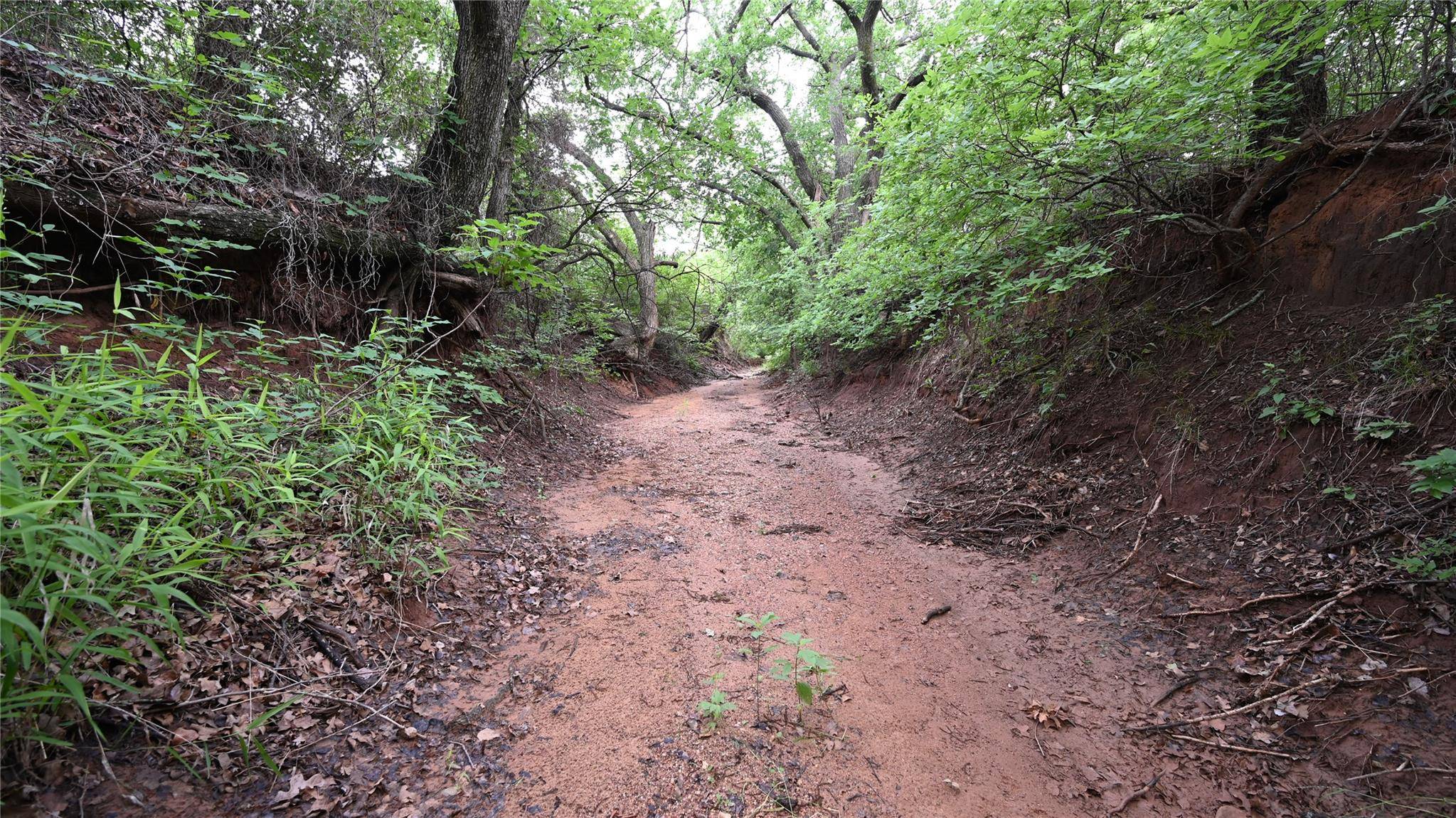 Nocona, TX 76255,13.77 ac #1 Barrel Spirngs Road