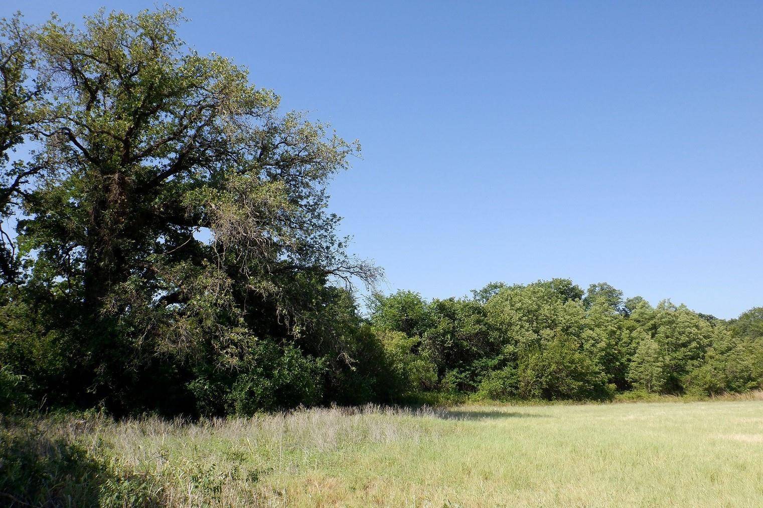 Rising Star, TX 76857,TBD County Rd 131