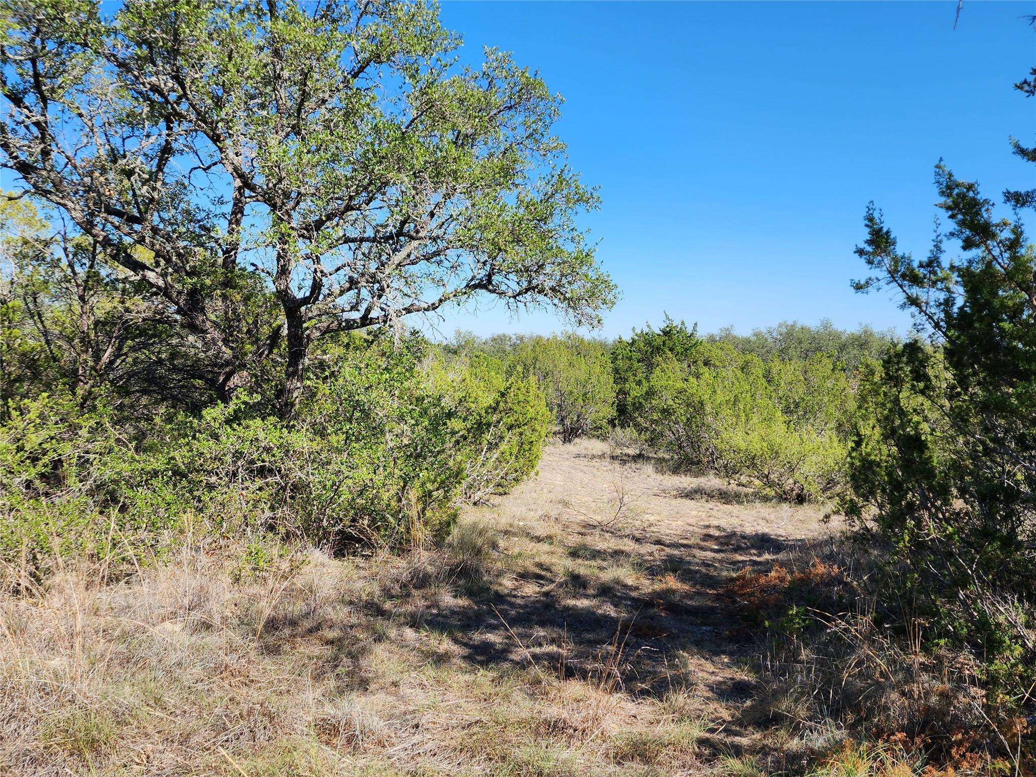 Comanche, TX 76442,TBD Fm 590