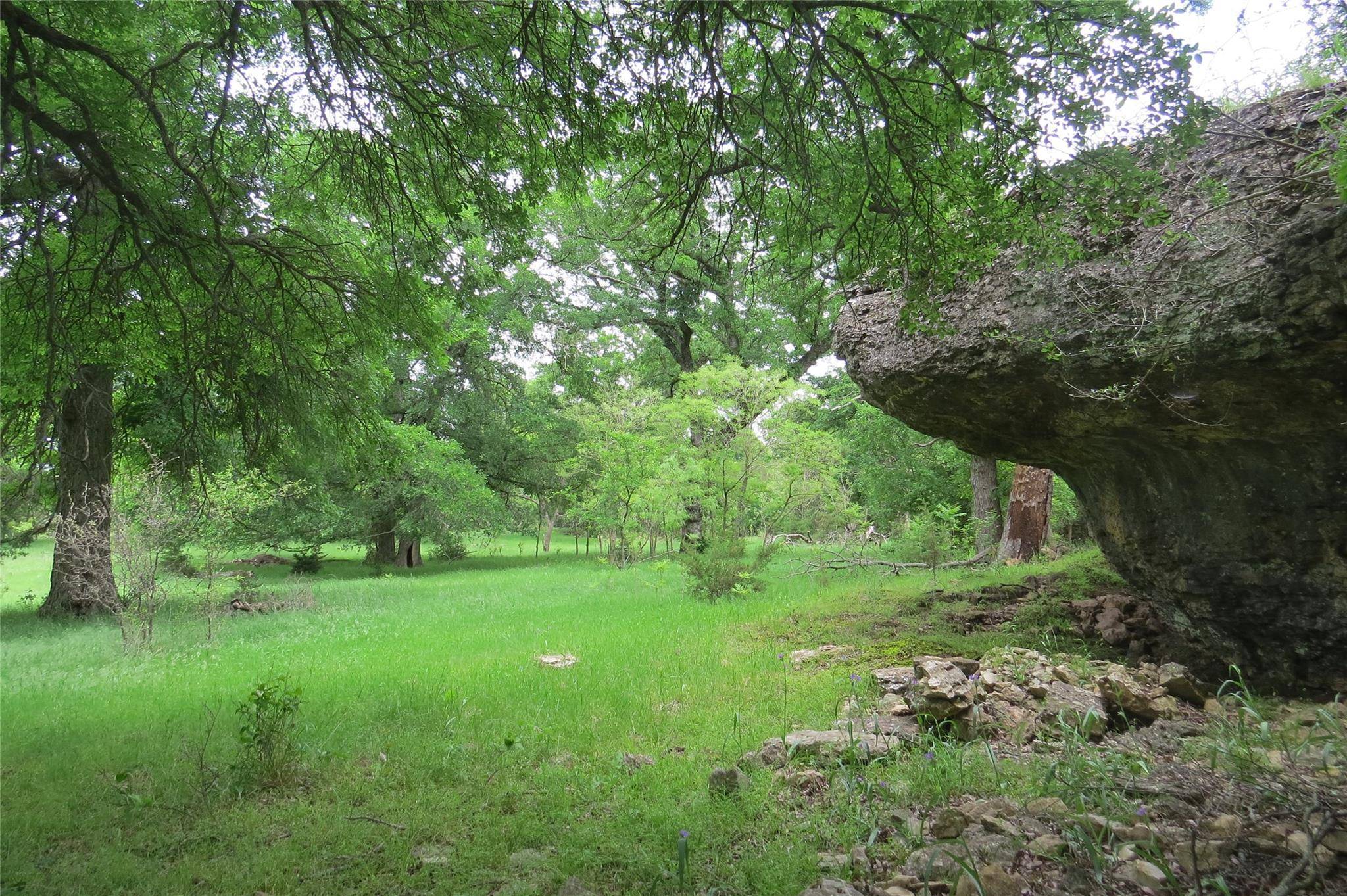 Ranger, TX 76470,TBD 2 Co Road 454