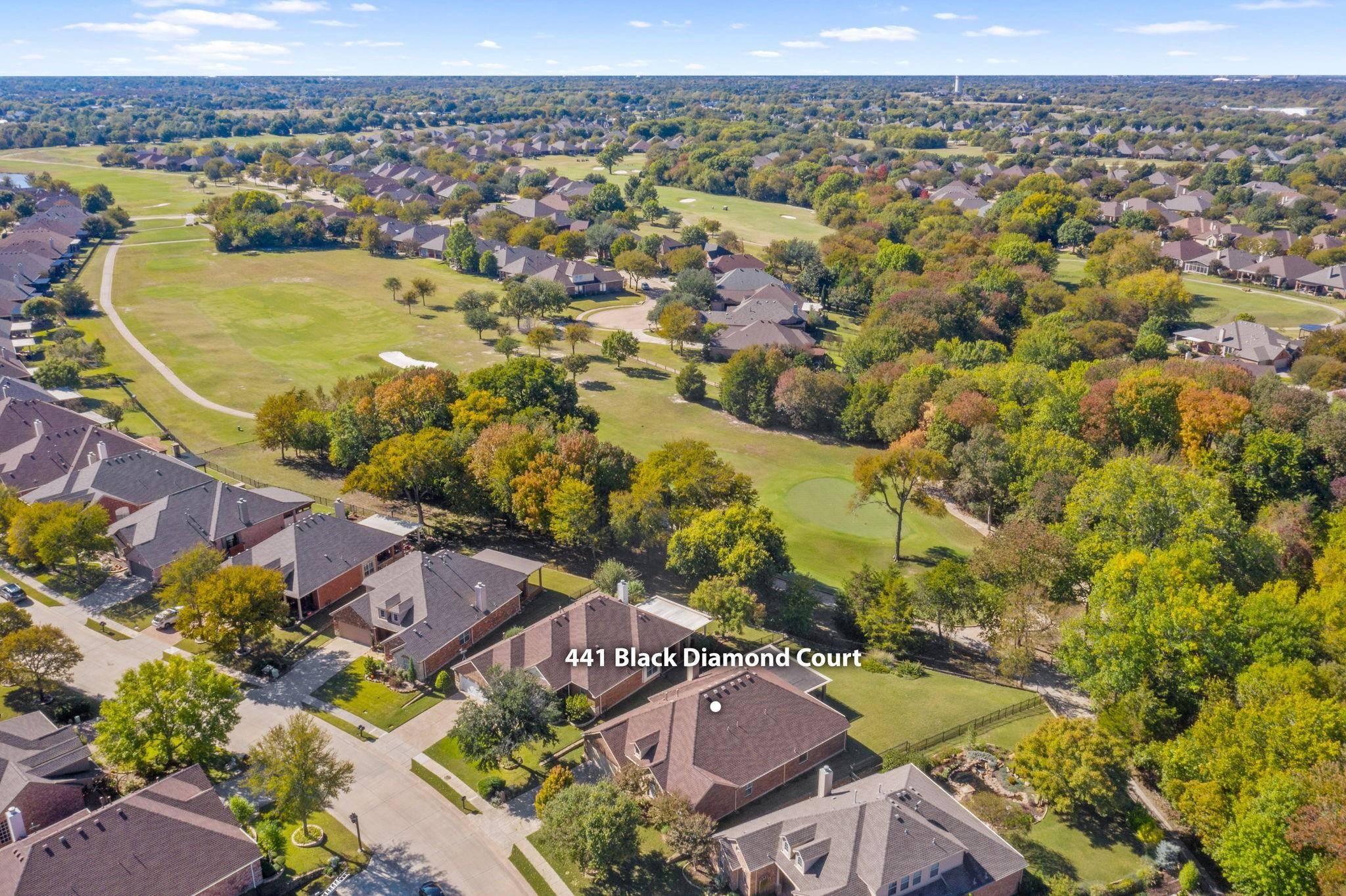 Fairview, TX 75069,441 Black Diamond Court