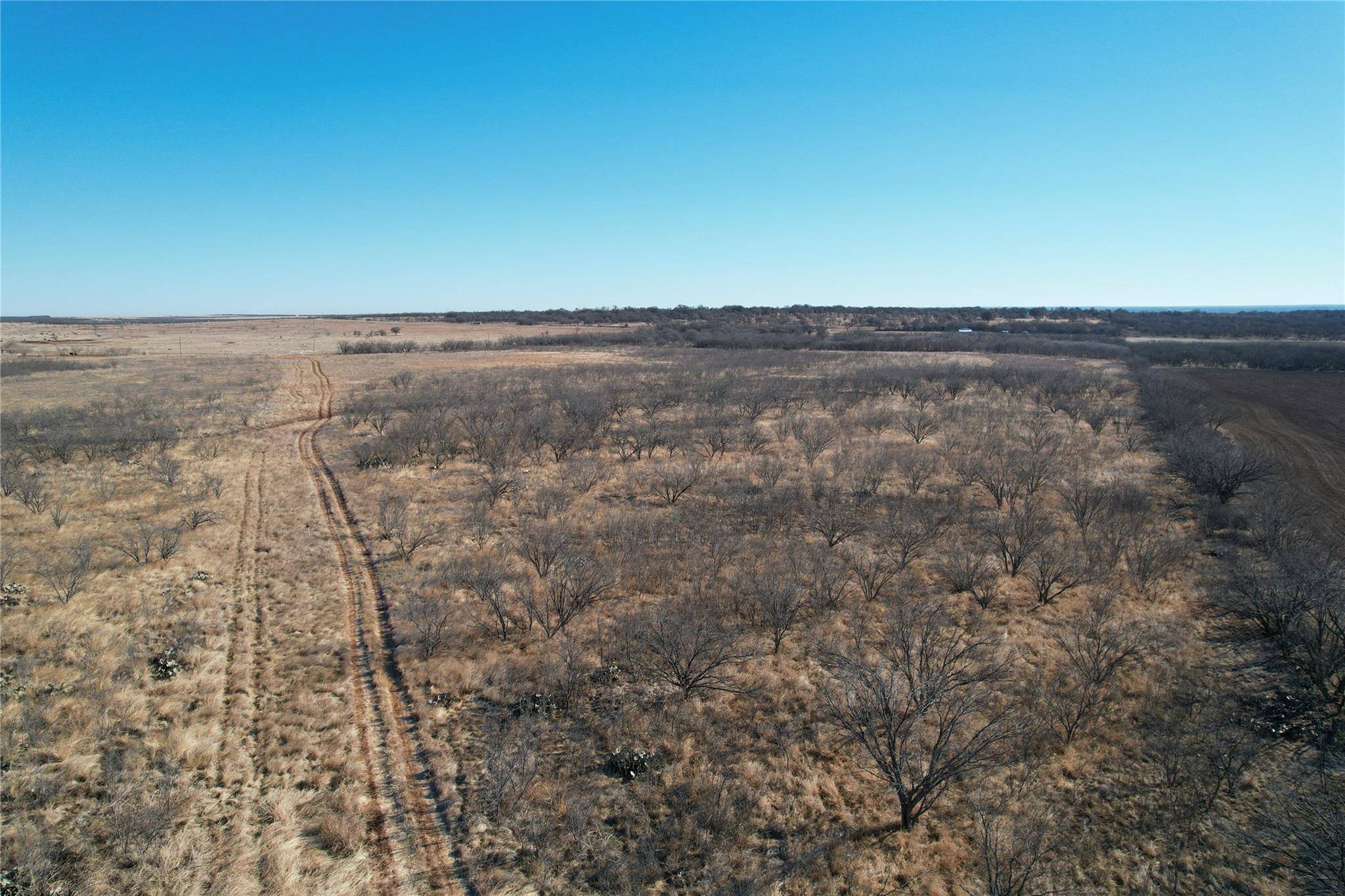 Abilene, TX 79601,8.38 AC (East) CR 356