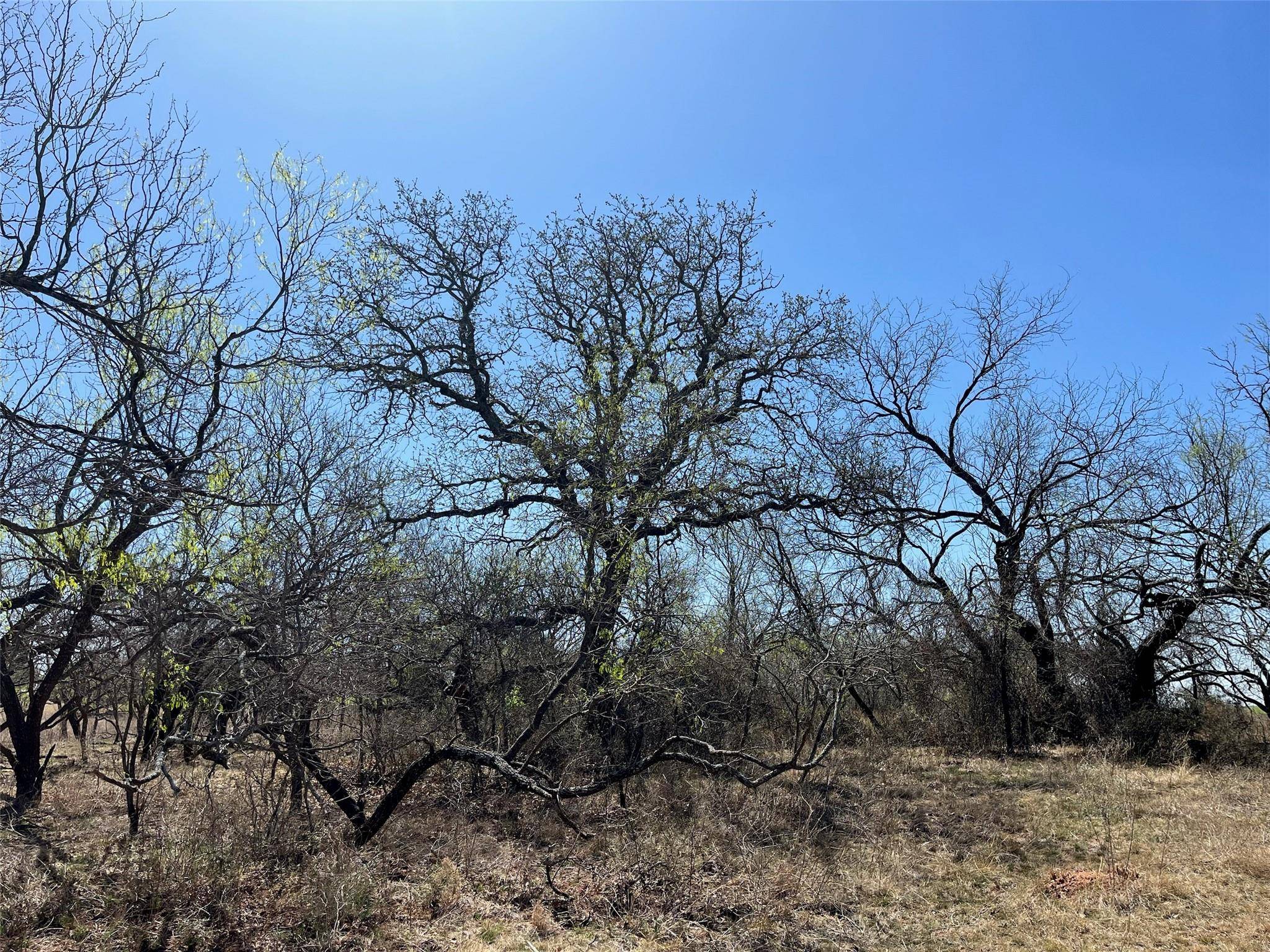 Cross Plains, TX 76443,Tract 4 FM 2287