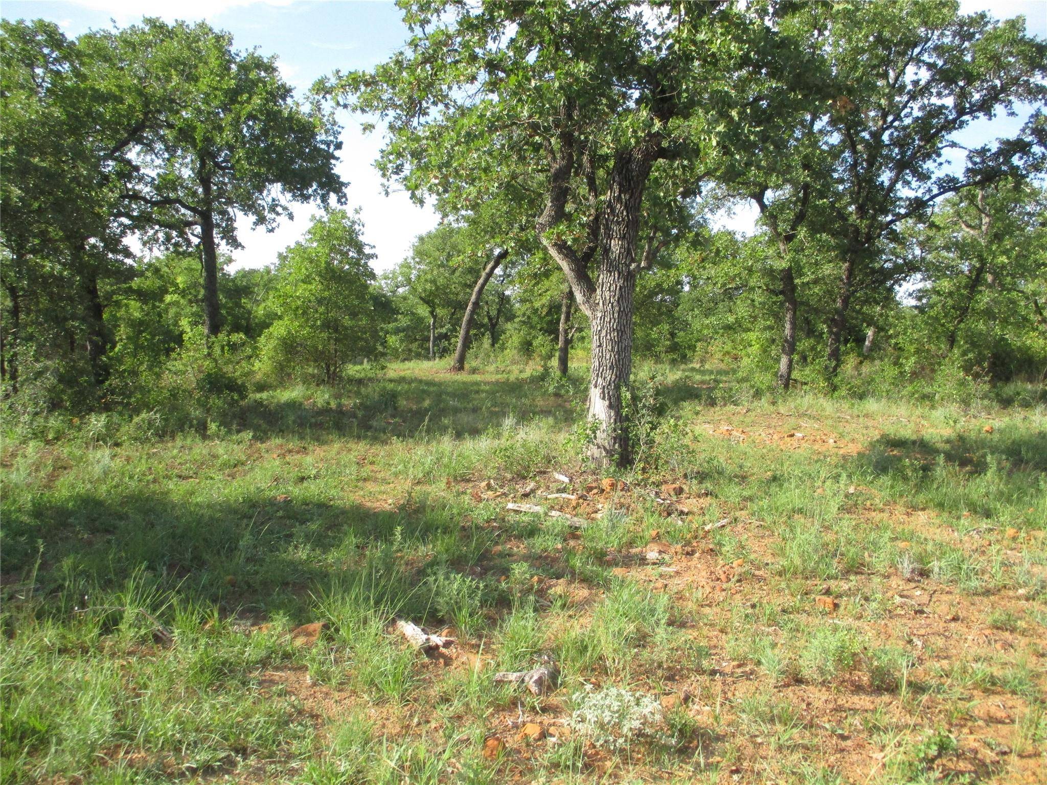 Jacksboro, TX 76458,17 AC Puddin Valley