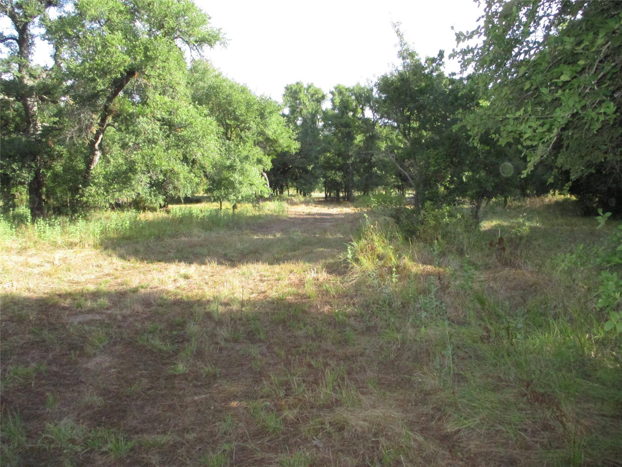 Jacksboro, TX 76458,17 AC Puddin Valley