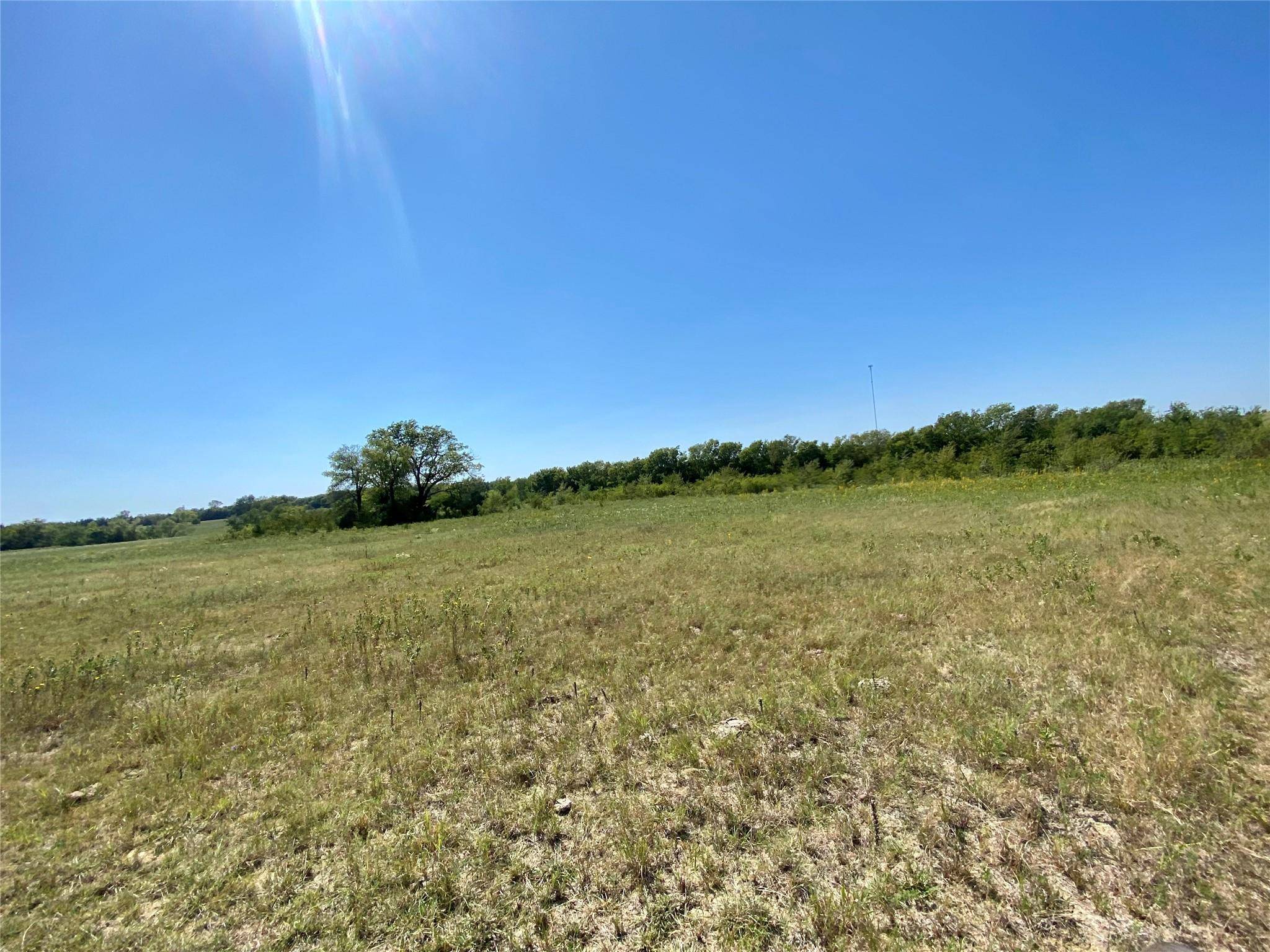 Windom, TX 75492,0000 E FM 1396