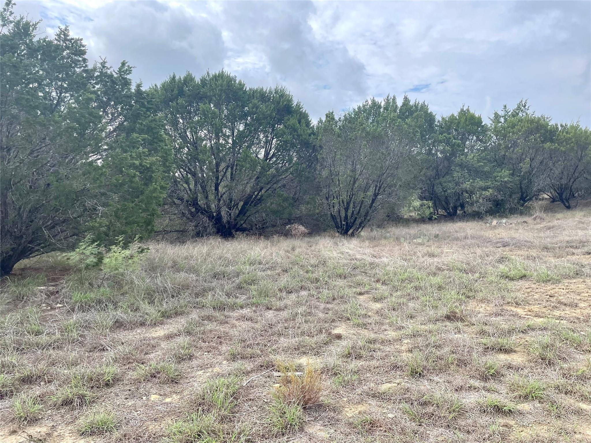 Bluff Dale, TX 76433,Tr1000 Anchors Way