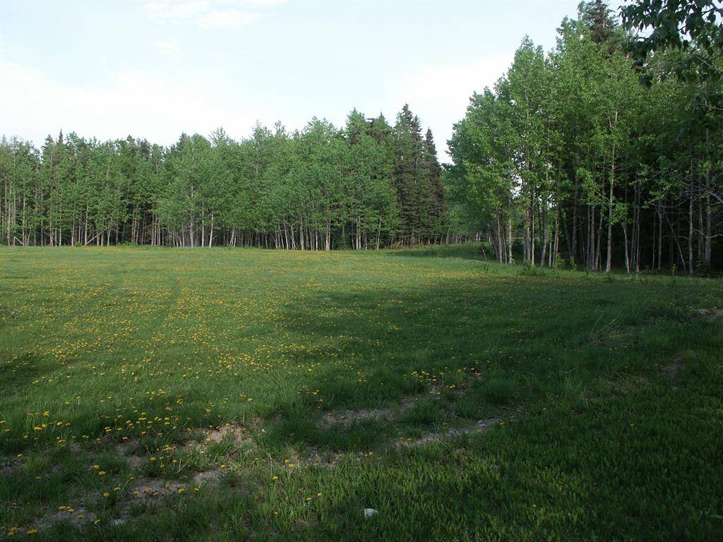 Rural Mountain View County, AB T0M0W0