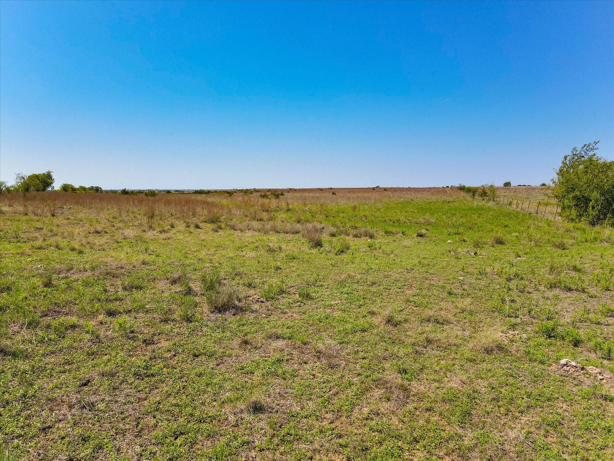 Hico, TX 76457,TBD County Road 210