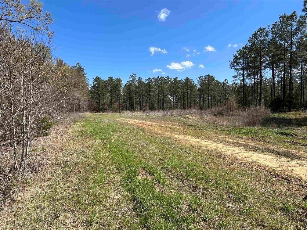 Hughes Springs, TX 75686,TBD FM 161