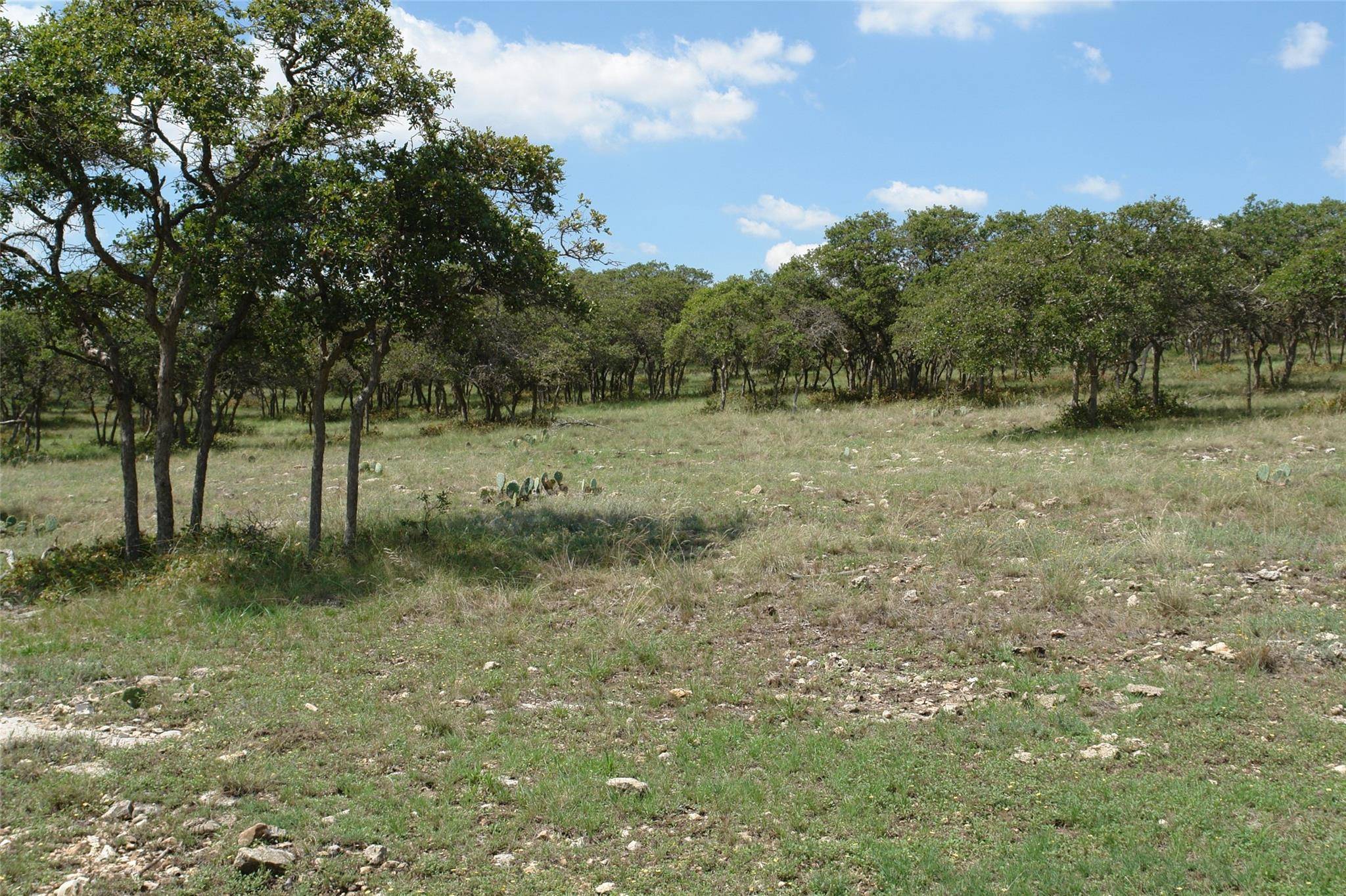 Goldthwaite, TX 76844,TBD PR 135