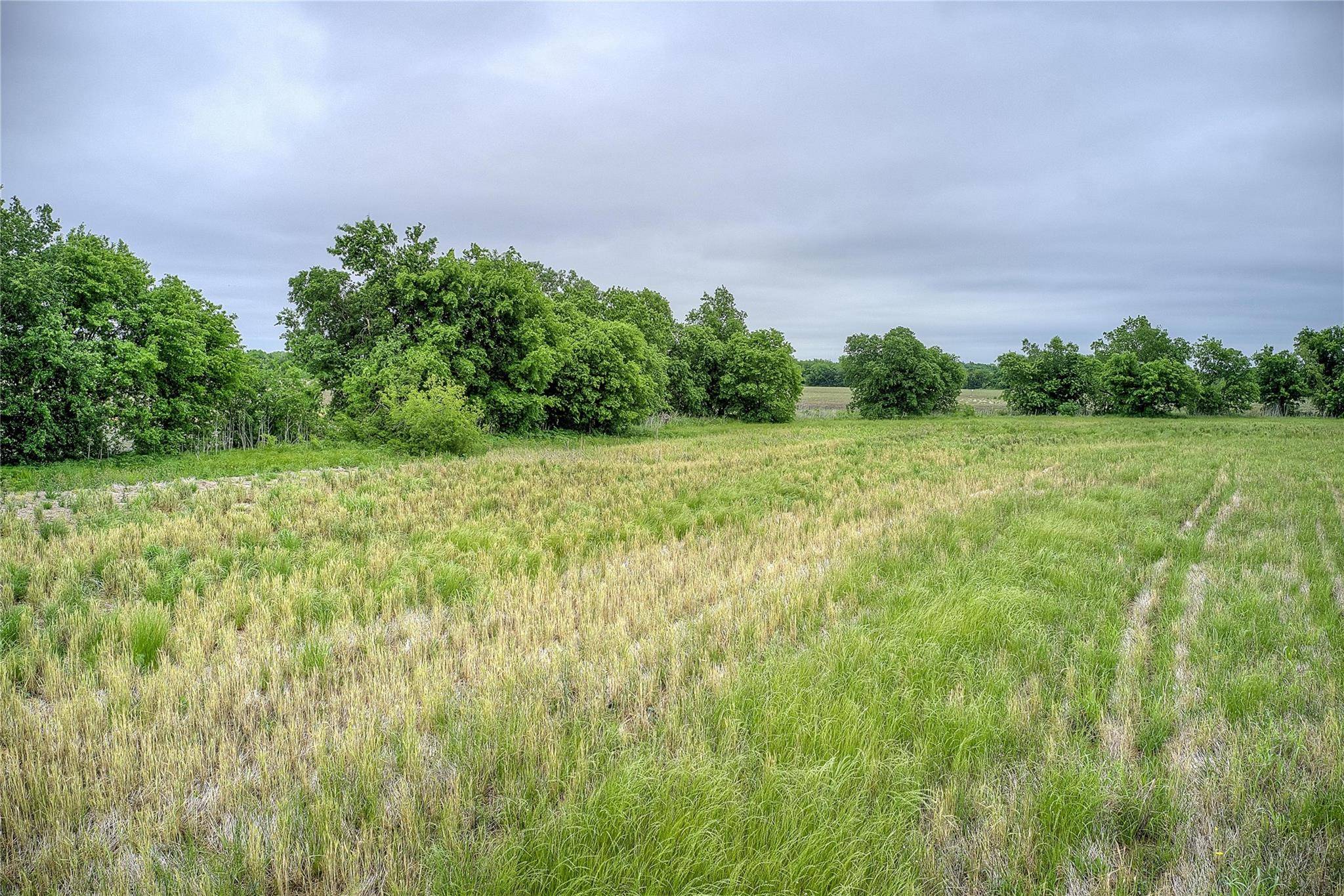 Nevada, TX 75173,Tract A TBD County Road 592