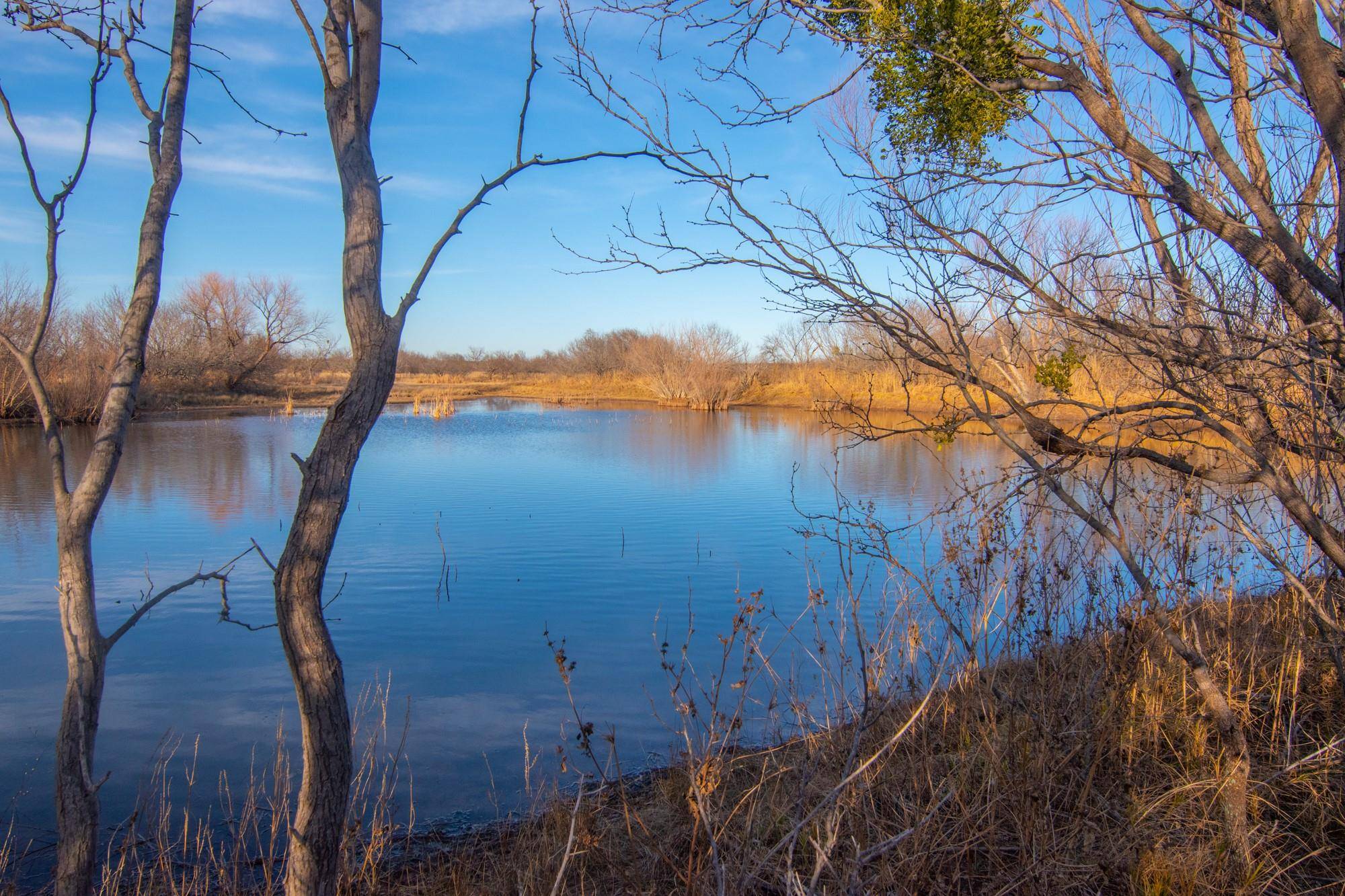 Brownwood, TX 76801,22400 Highway 279