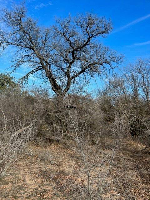 Clyde, TX 79510,TBD Farm Market 603